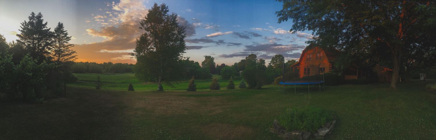 Golden sunset over open fields and treeline, natural light landscape from a Finger Lakes homestead photography session, Soft Wild Light.