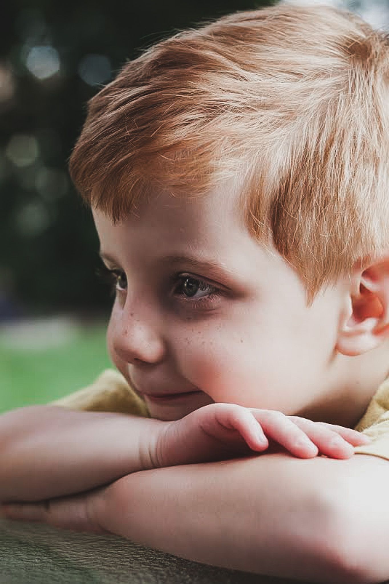 Close up portrait of a young boy resting his chin on his hands, natural light child photography, Finger Lakes NY, Soft Wild Light.