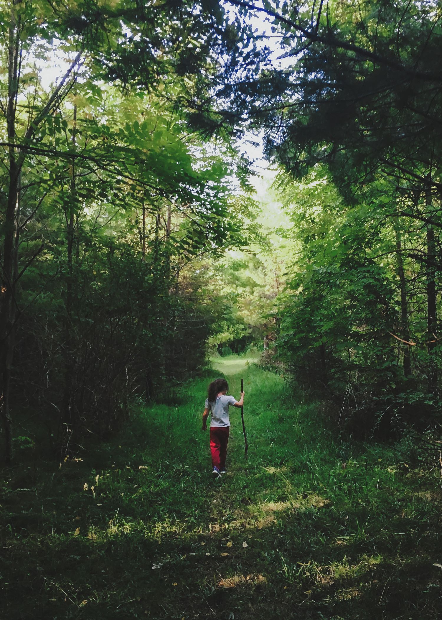 Child walking down a sunlit wooded path, natural light outdoor portrait, Finger Lakes New York, Soft Wild Light, Michelle Lawson Photography