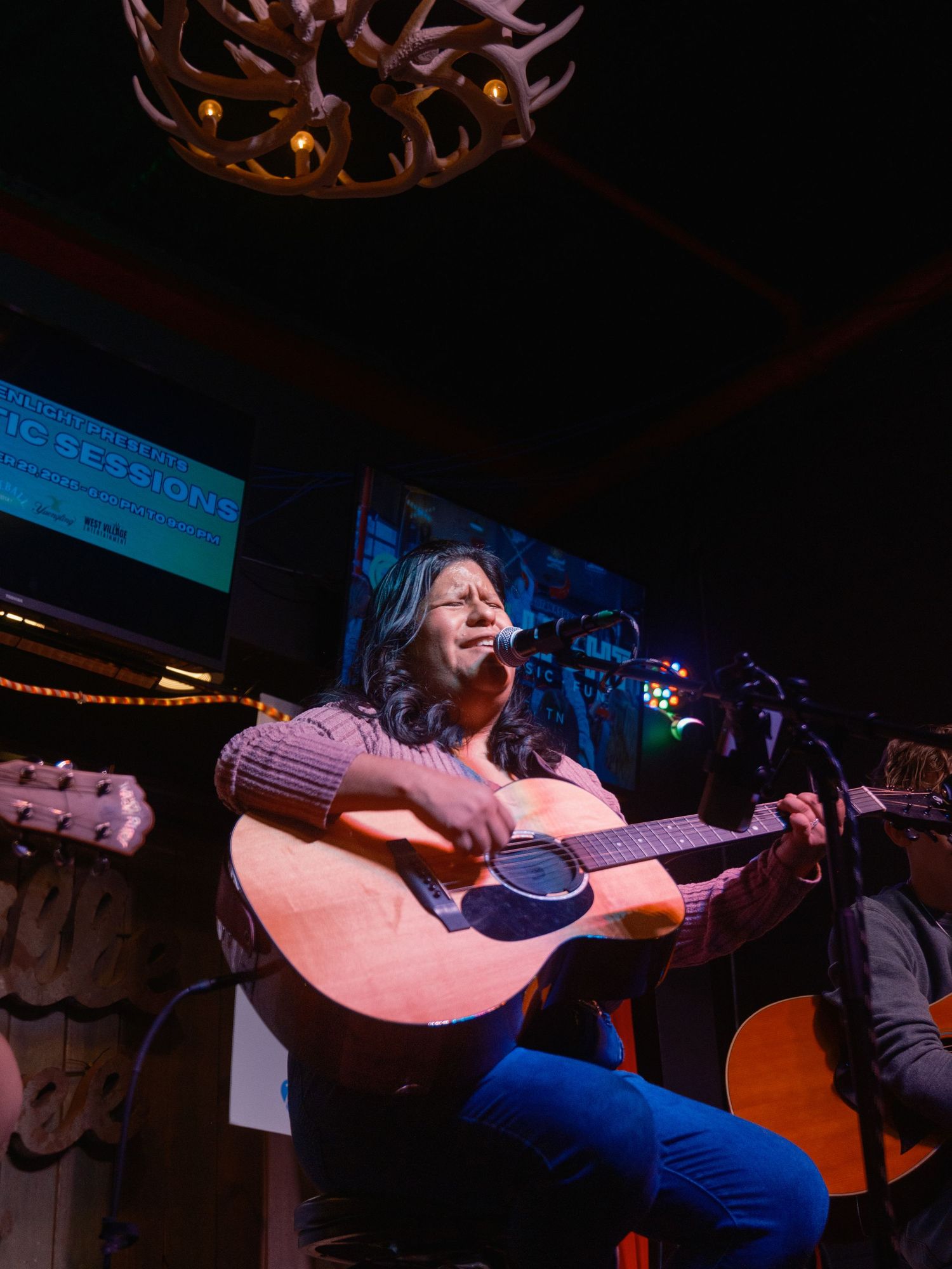 Photograph from an acoustic live music performance.