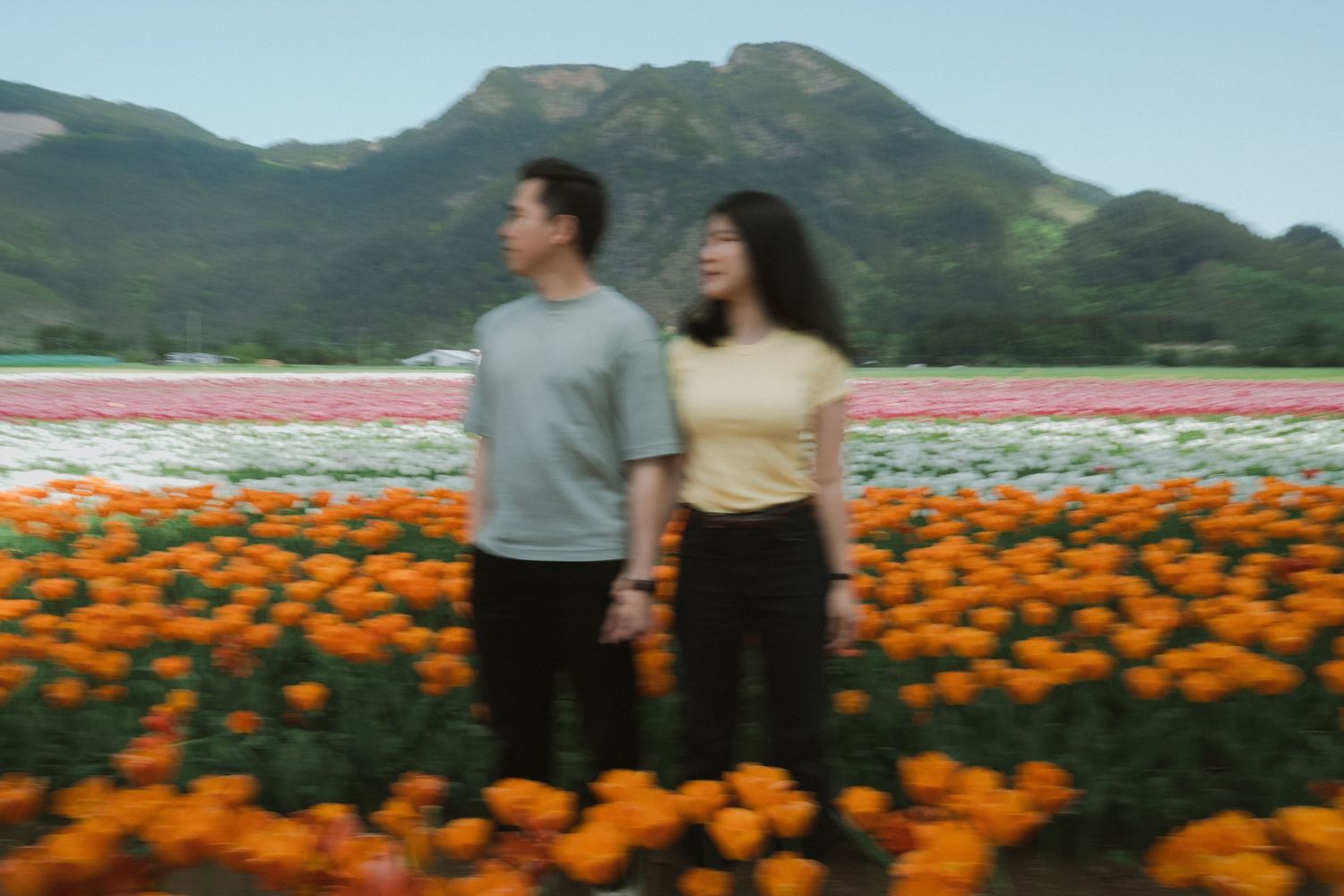 Couple standing in vibrant tulip fields with colorful rows of orange, pink, and white flowers and mountain backdrop.