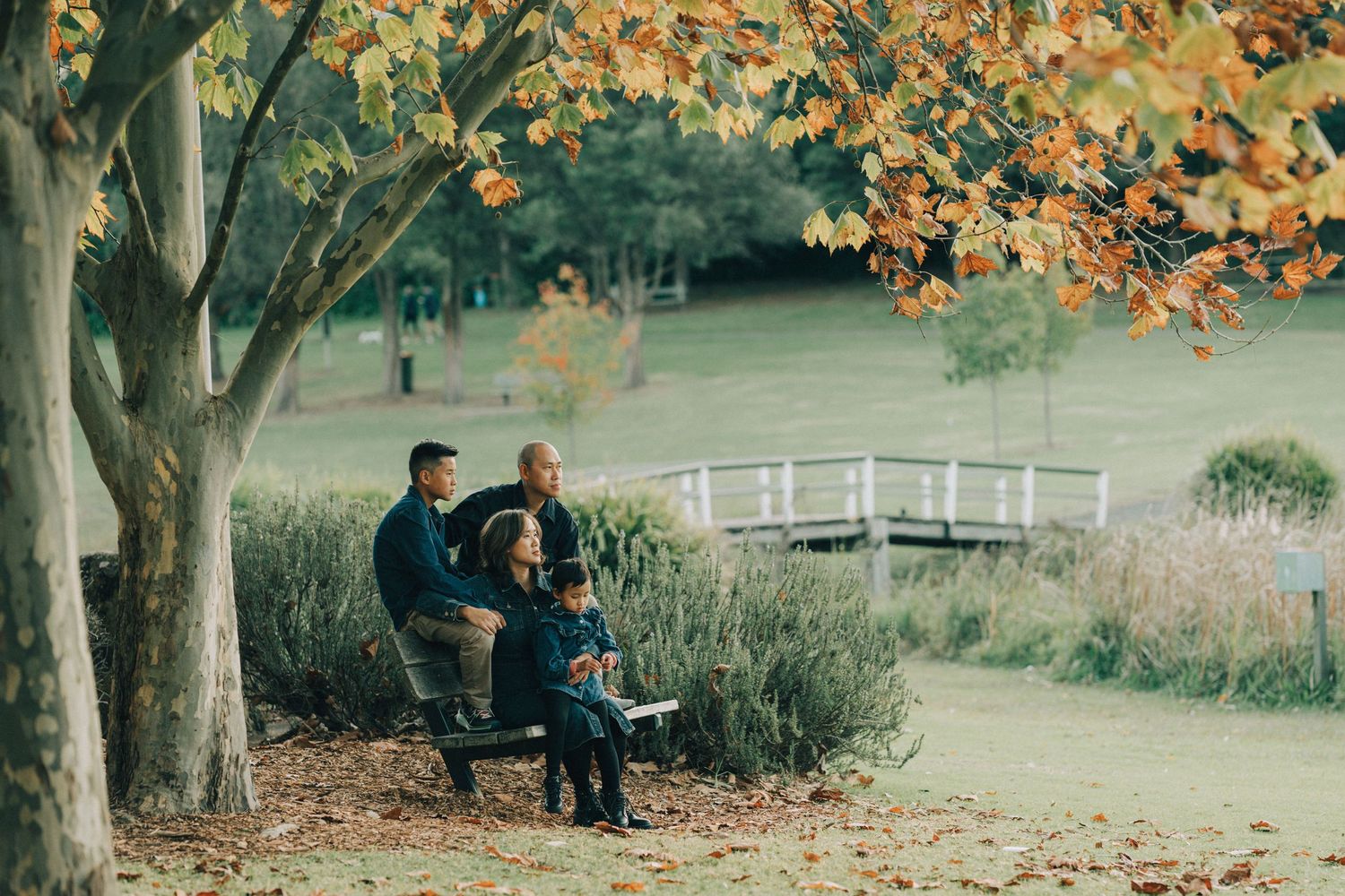 People enjoying a peaceful autumn day on benches beneath trees with golden foliage in a serene park setting.