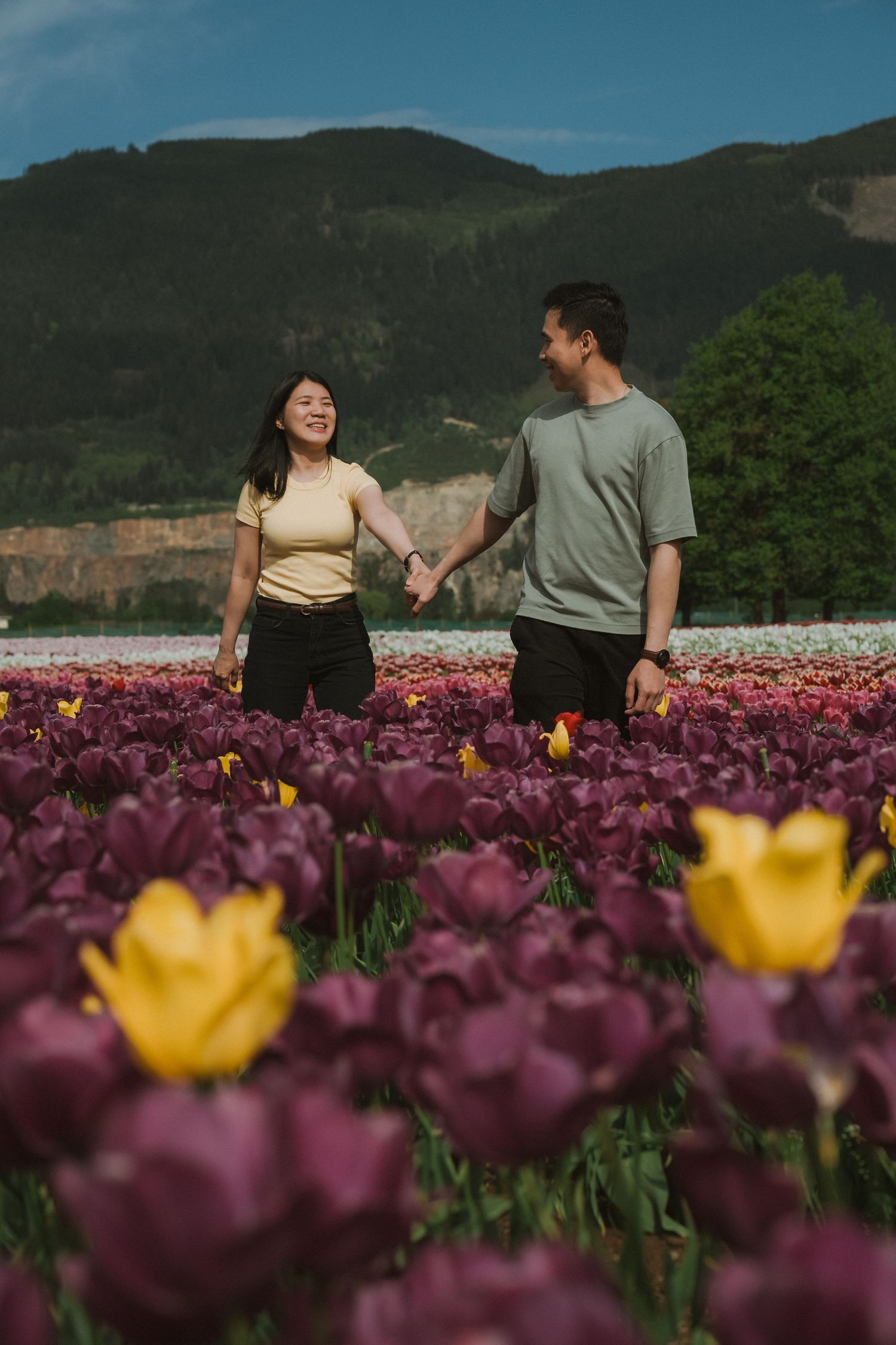 Couple holding hands in a vibrant tulip field with purple and yellow blooms, mountains in the background.