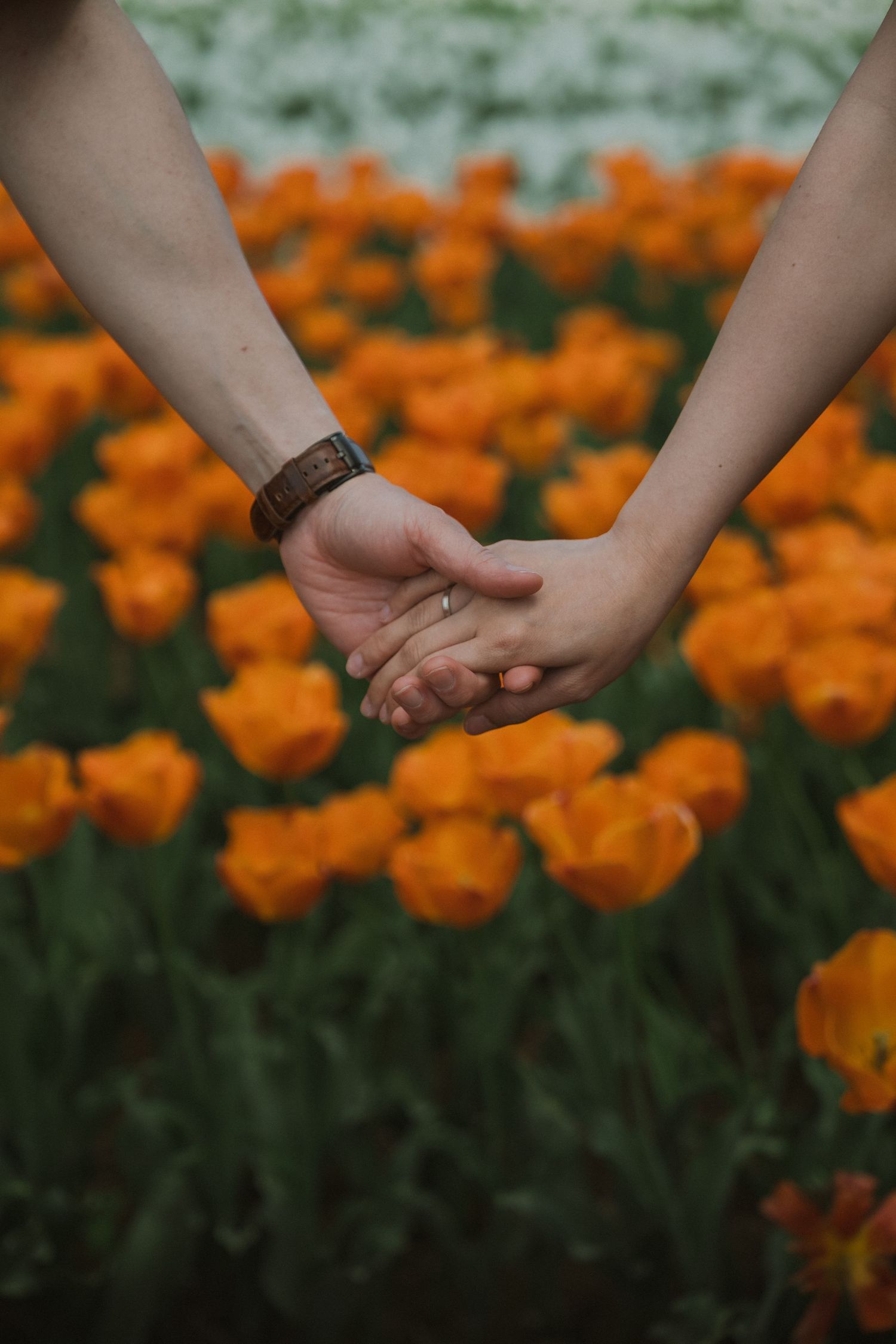 Two people holding hands in front of a vibrant field of orange tulips, one wearing a brown leather bracelet.