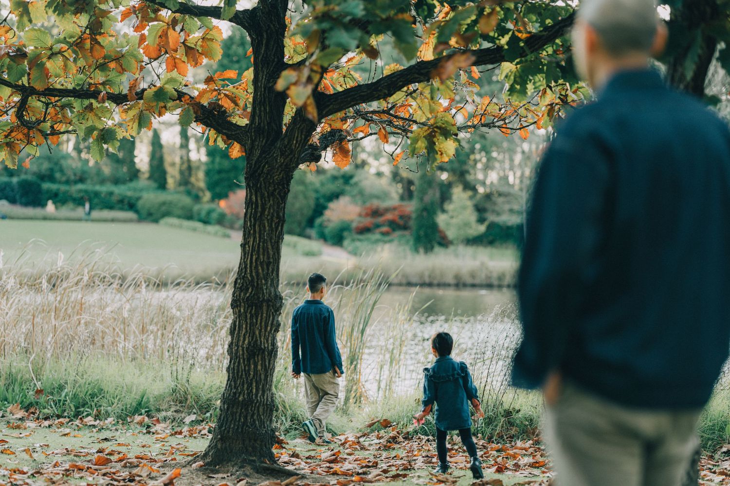 People walk through a scenic autumn park with golden leaves falling from trees on a peaceful afternoon.