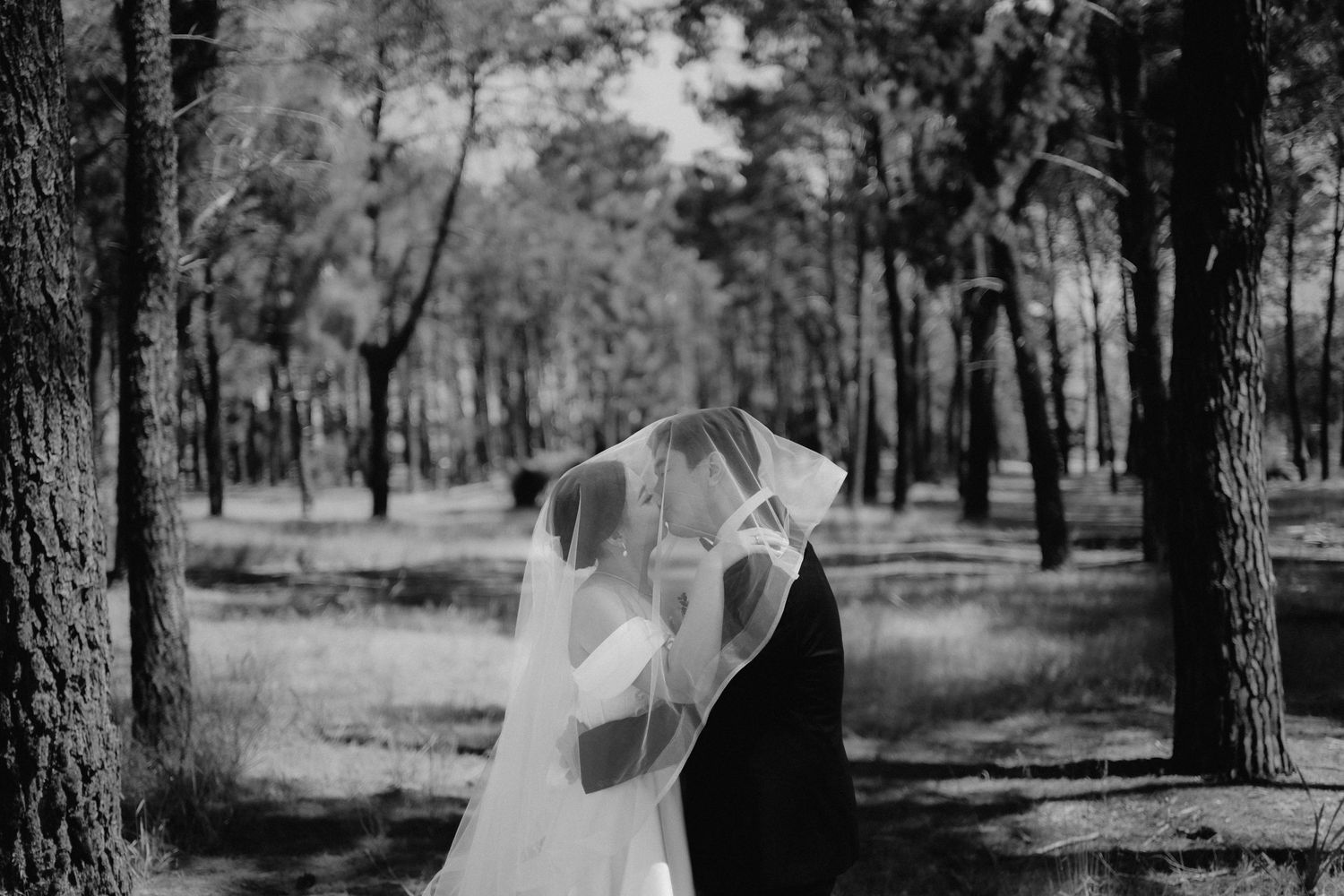 A romantic black and white wedding photo of a couple embracing in a serene forest setting.