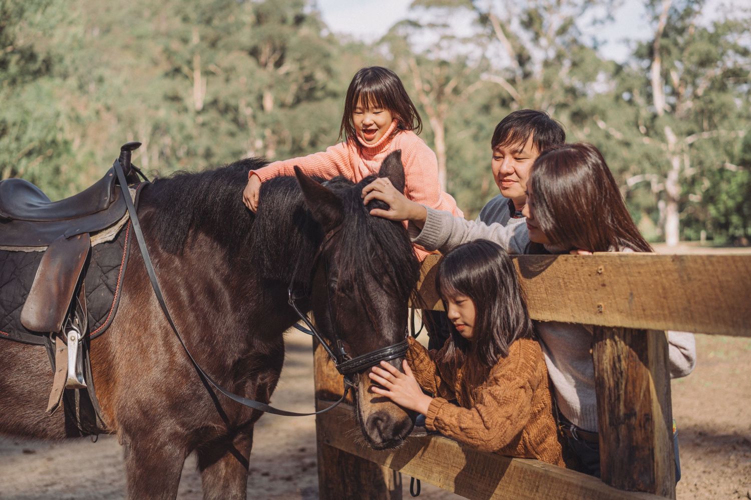 A series of connected images showing horseback riding lessons and interactions with horses at an equestrian facility.