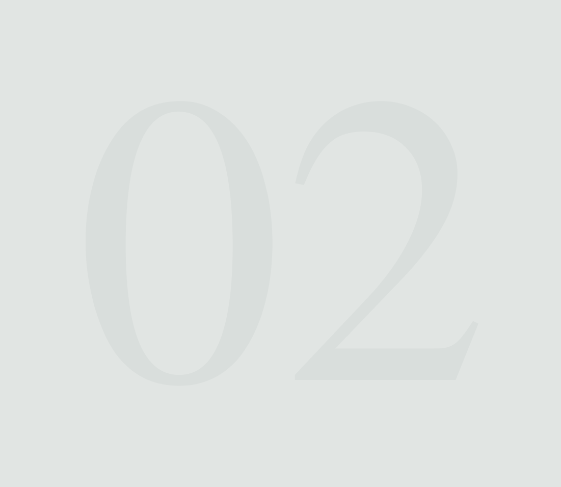 Minimalist light gray number 02 on white background.