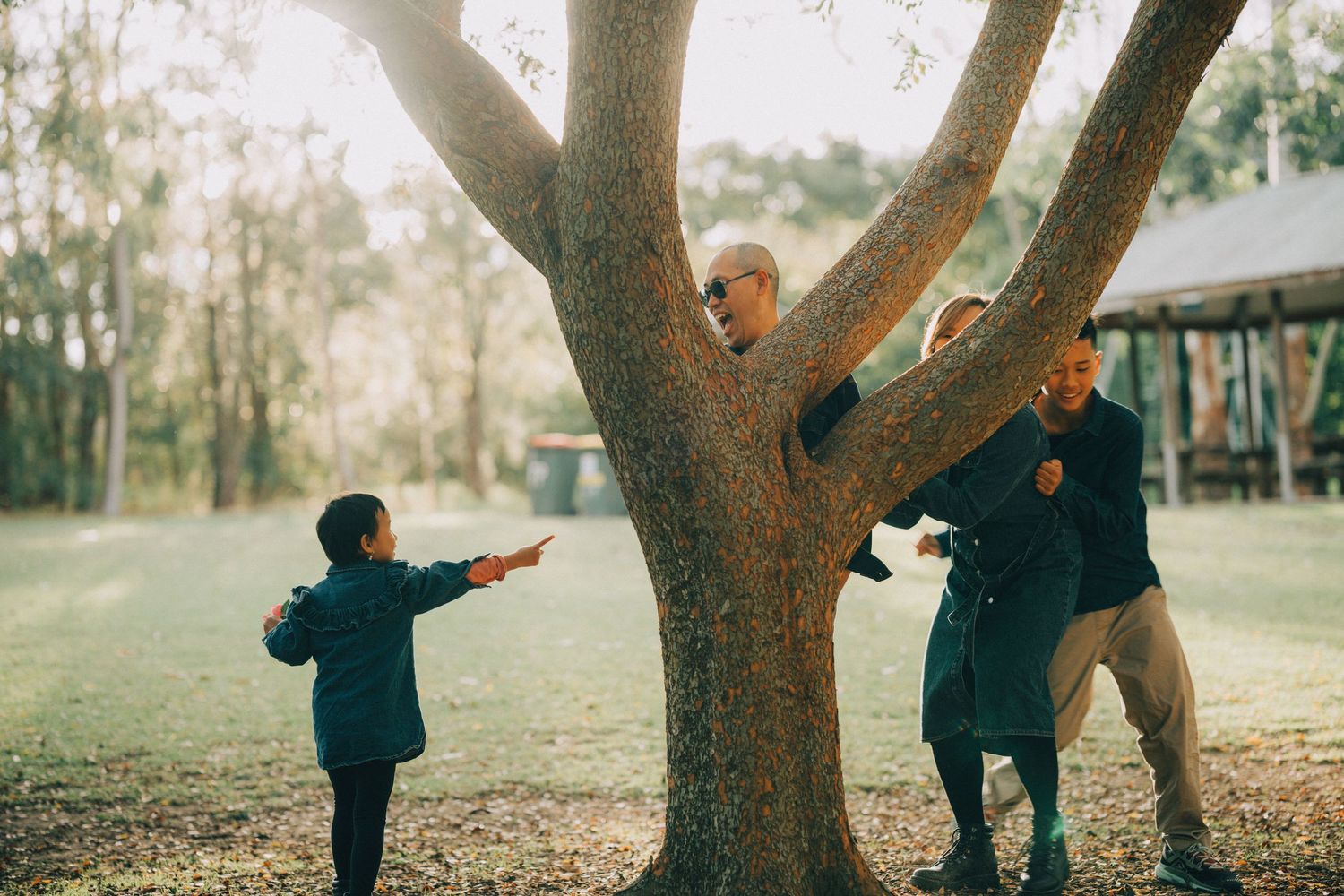 Two people playing together near a large tree in a park during a golden sunset.