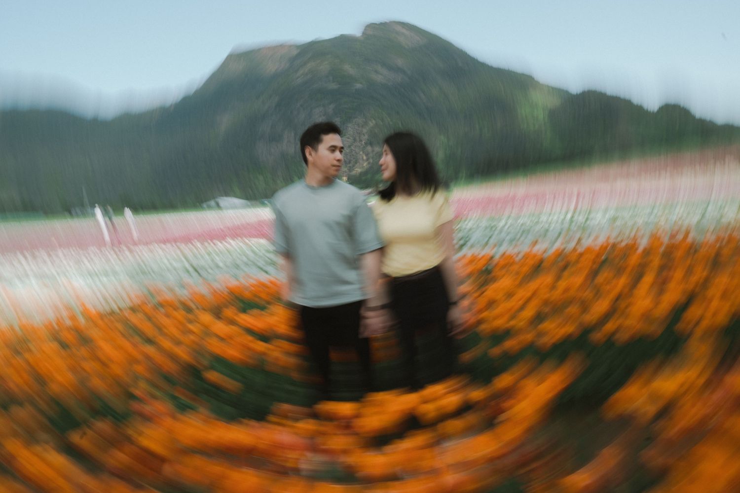 Couple holding hands in a vibrant orange flower field with mountains in the background, captured with a dreamy blur effect.