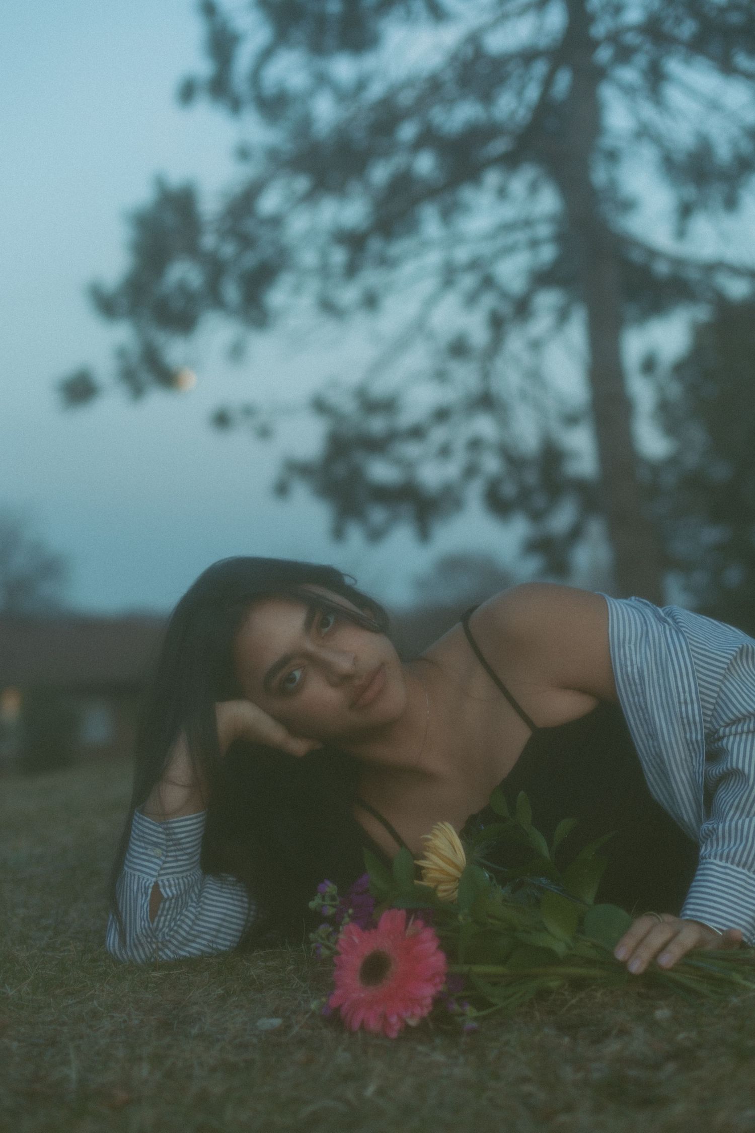 Dreamy moody portrait with pink gerbera daisy flower at dusk featuring soft lighting and pine trees in background.