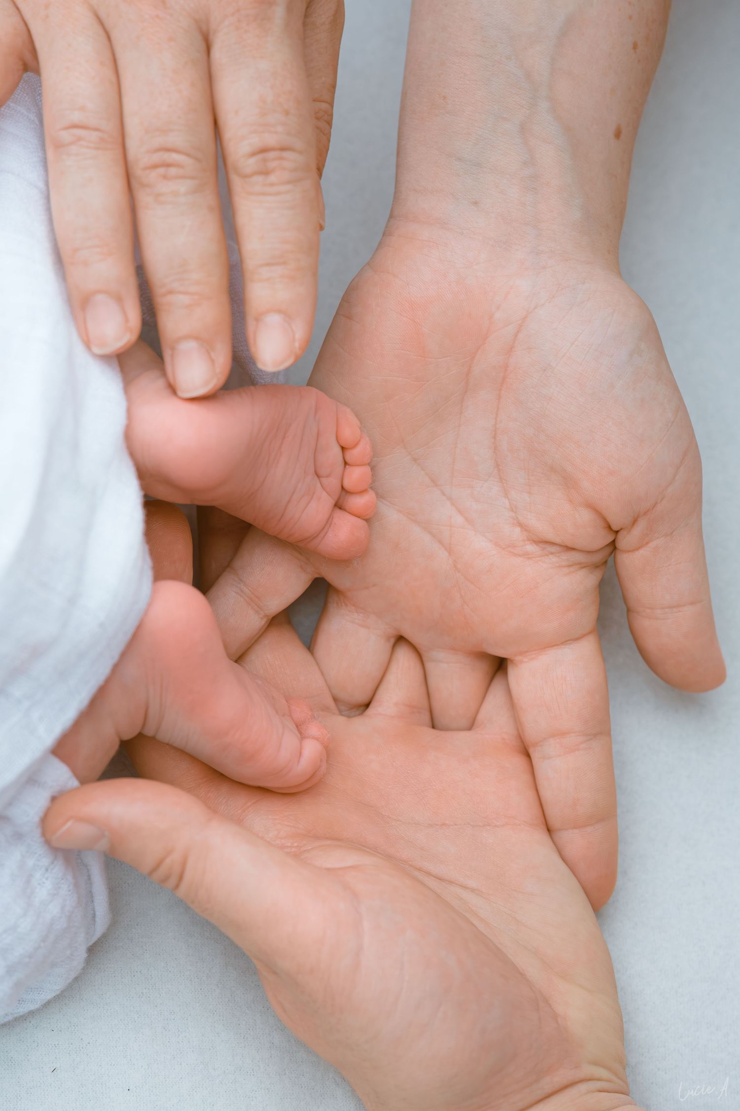 Des mains d'adultes bercent délicatement le petit pied d'un nouveau-né, symbolisant l'amour et les soins parentaux.
