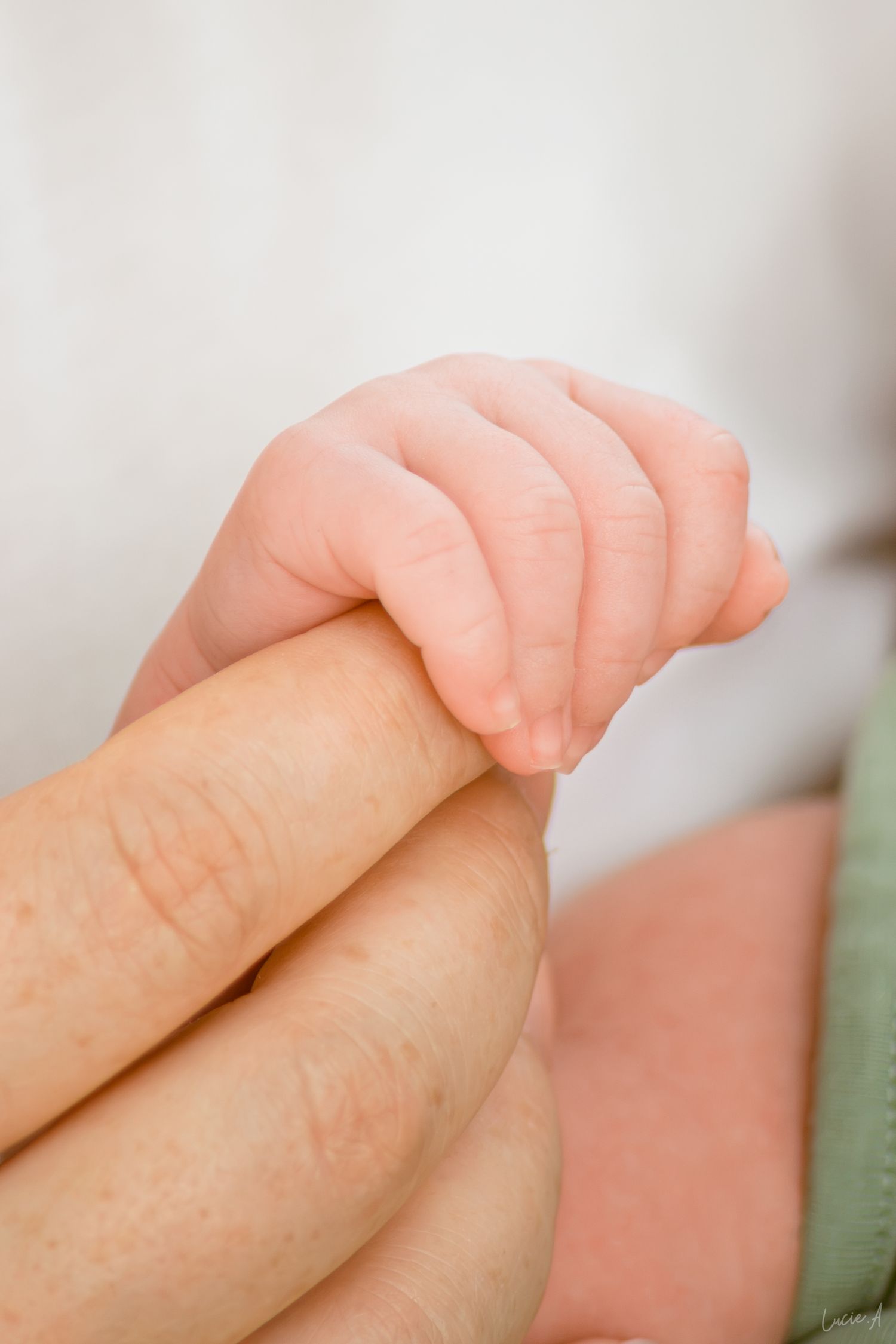 La petite main d'un nouveau-né serrant délicatement le doigt d'un adulte, symbolisant la confiance et la vie nouvelle.