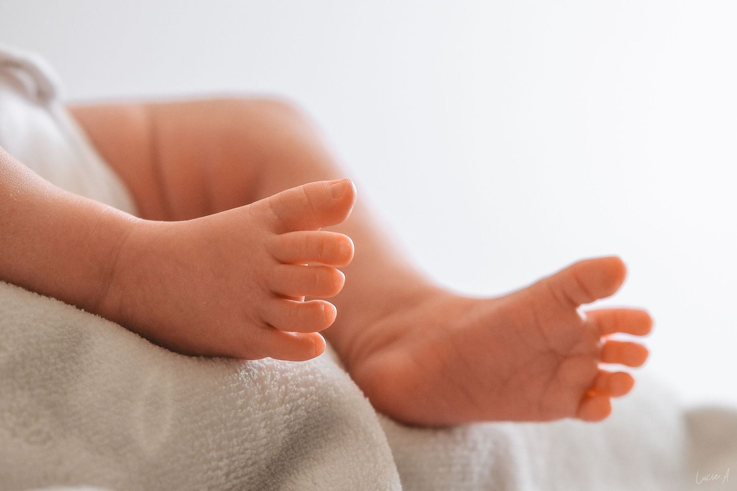 Gros plan sur les adorables petits pieds d'un nouveau-né reposant sur une douce serviette blanche.