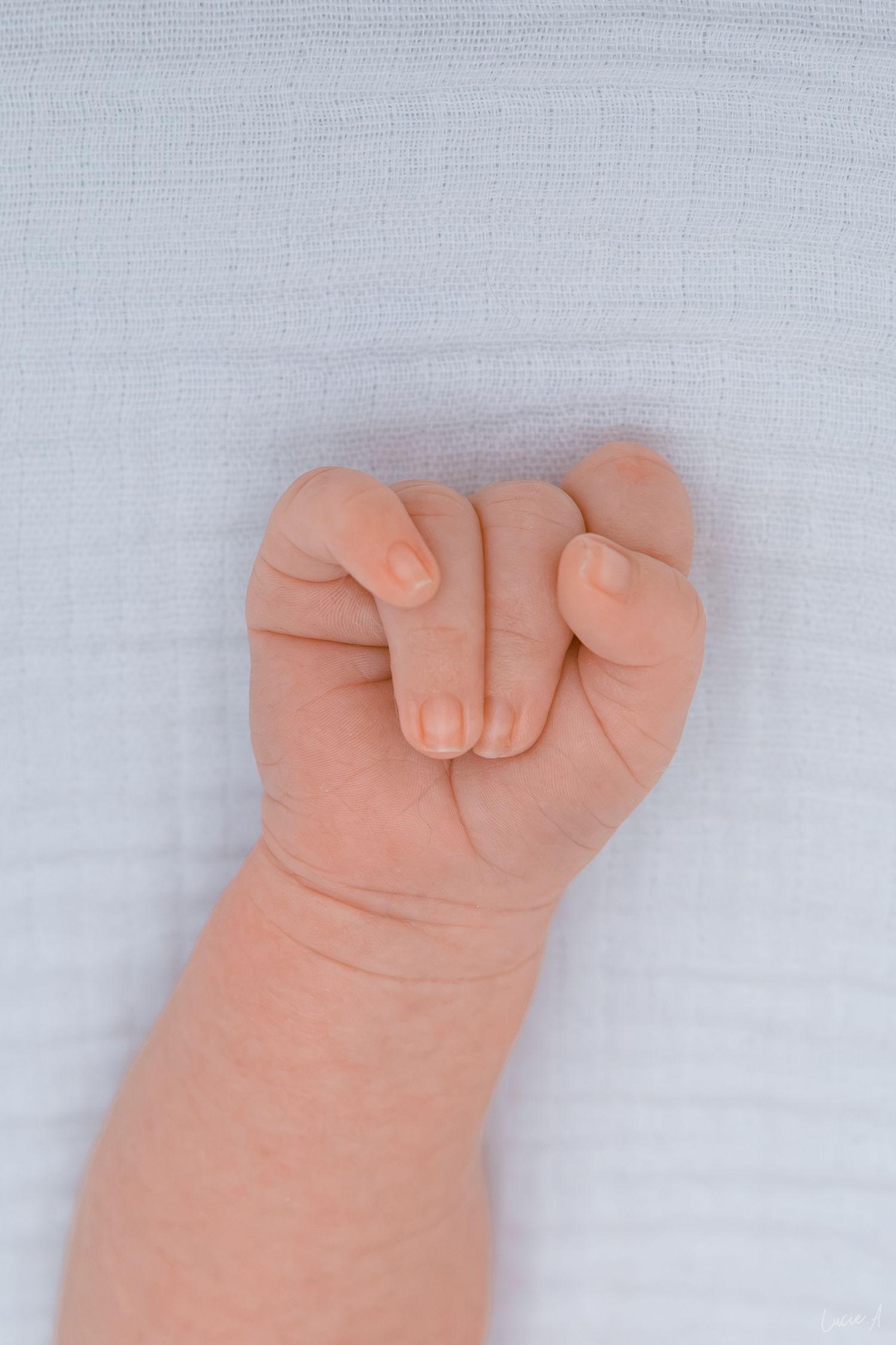 Gros plan sur le petit poing serré d'un nouveau-né posé sur une douce couverture en mousseline blanche.
