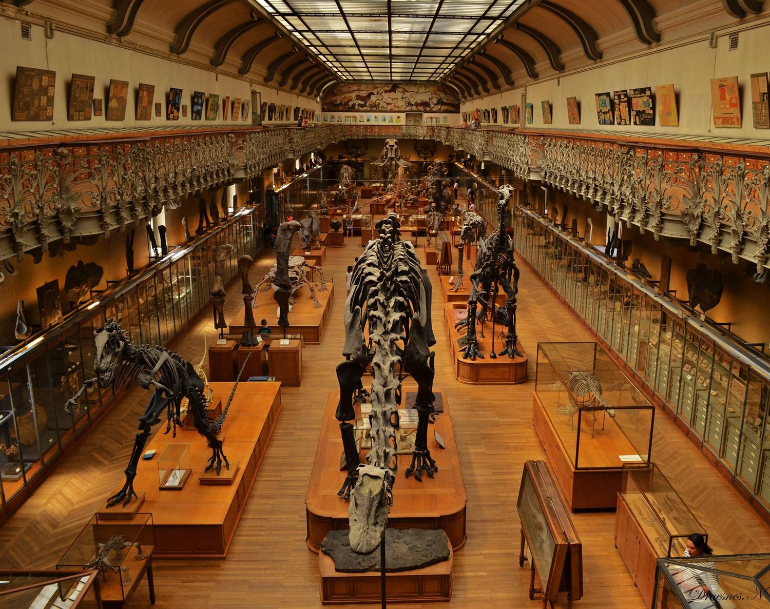 Vue couleur en perspective d'un couloir de musée bordé de vitrines et d'objets d'art