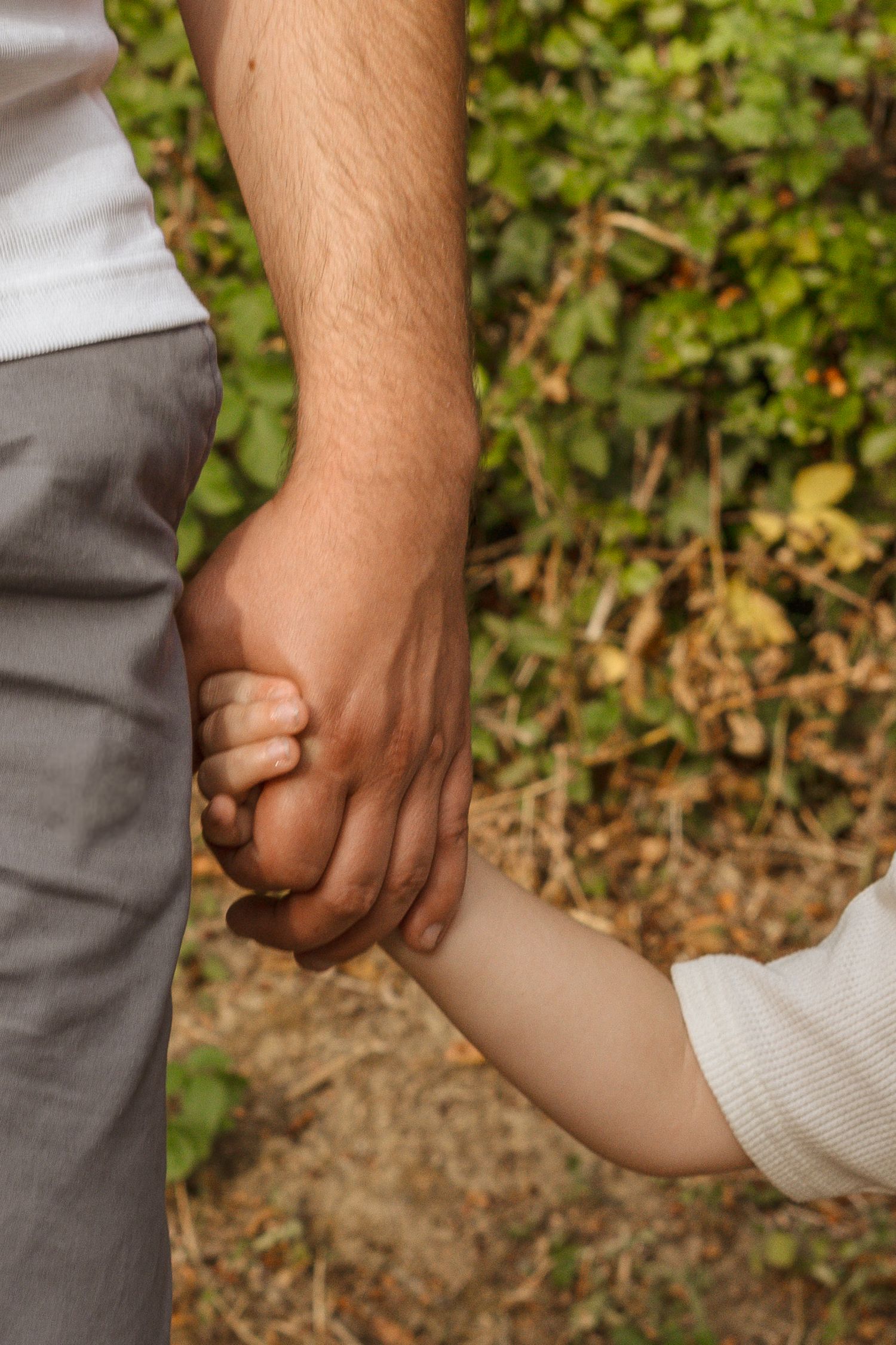 Adult and child holding hands outdoors, symbolizing parental bond and family connection in a natural garden setting.