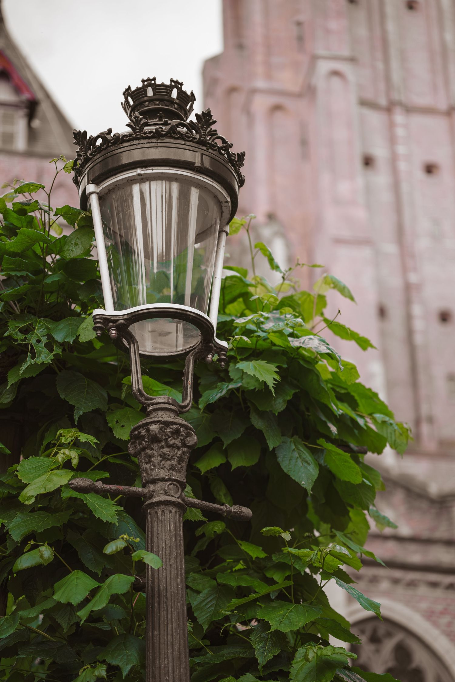 Un lampadaire ancien orné, entouré d'une végétation luxuriante, avec une façade d'église gothique en arrière-plan.