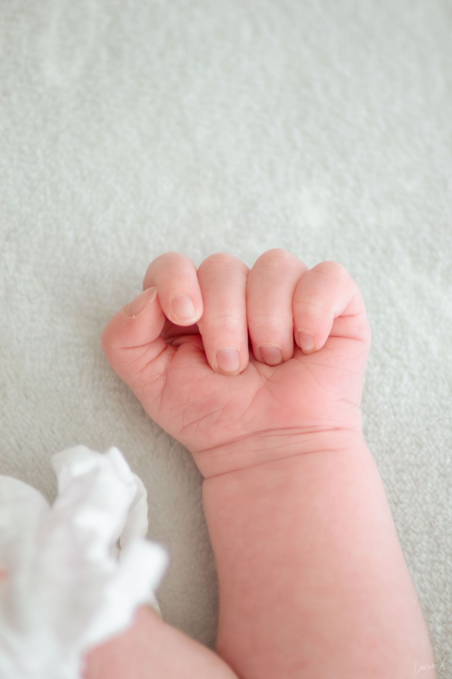 Gros plan sur le petit poing serré d'un nouveau-né posé sur une douce couverture blanche.