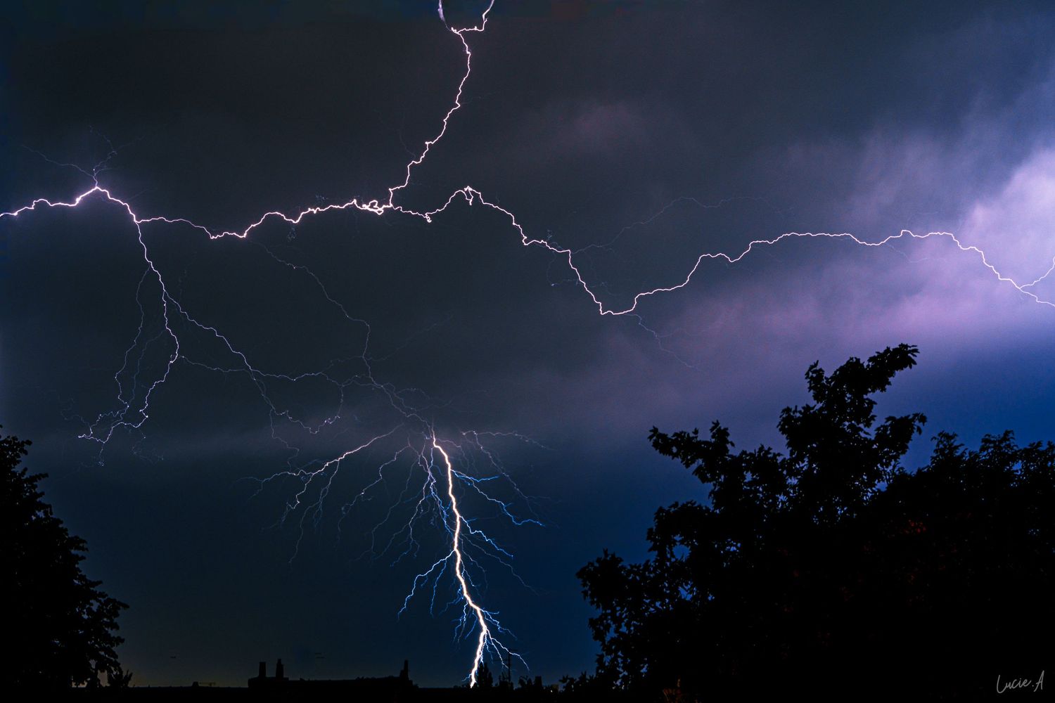 Un orage spectaculaire, avec des éclairs violets et blancs illuminant un ciel sombre et orageux au-dessus des silhouettes d'arbres.