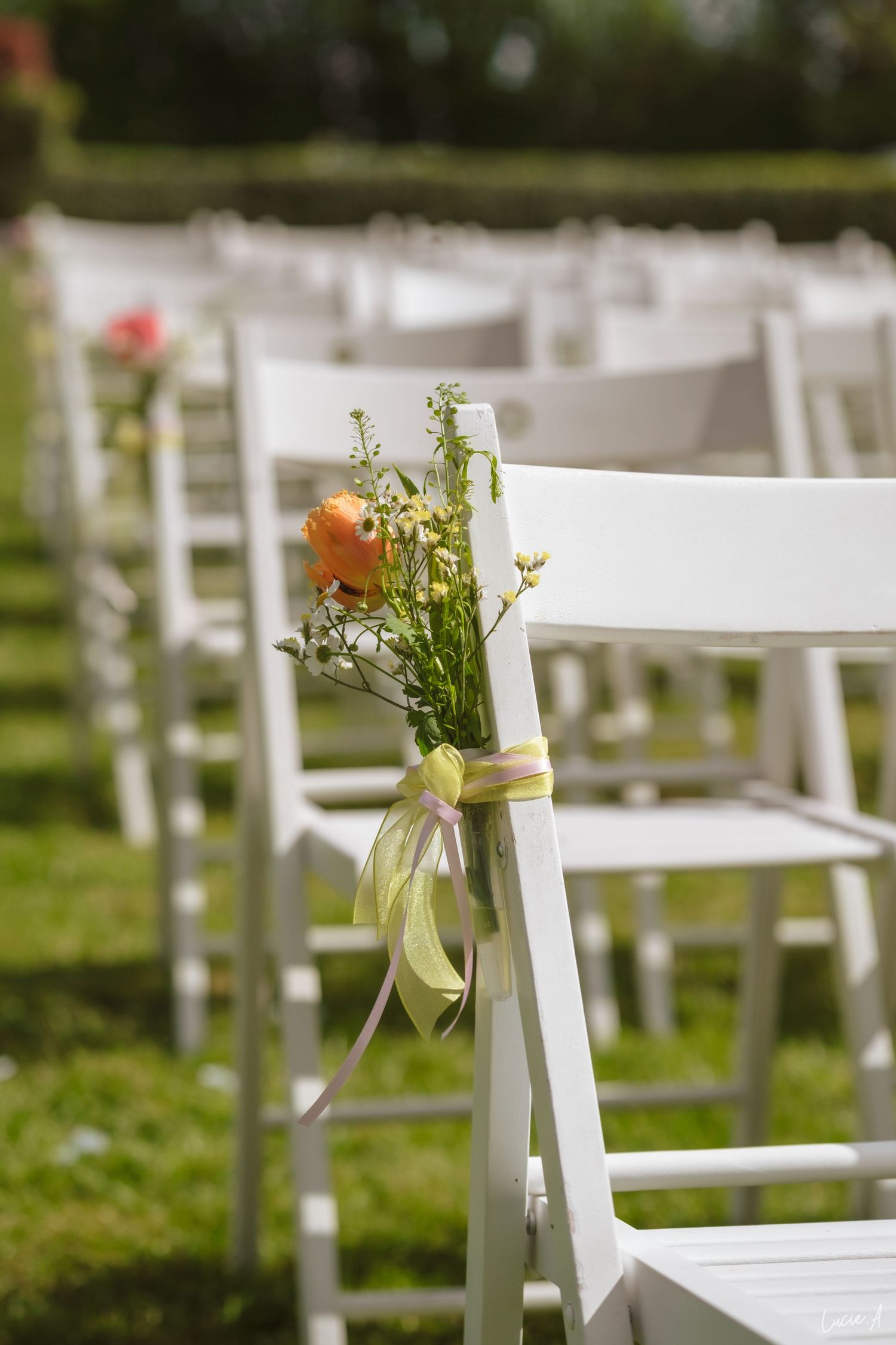 Des chaises de jardin blanches décorées de roses orange et de nœuds en ruban lors d'une cérémonie laîque de mariage en plein air.