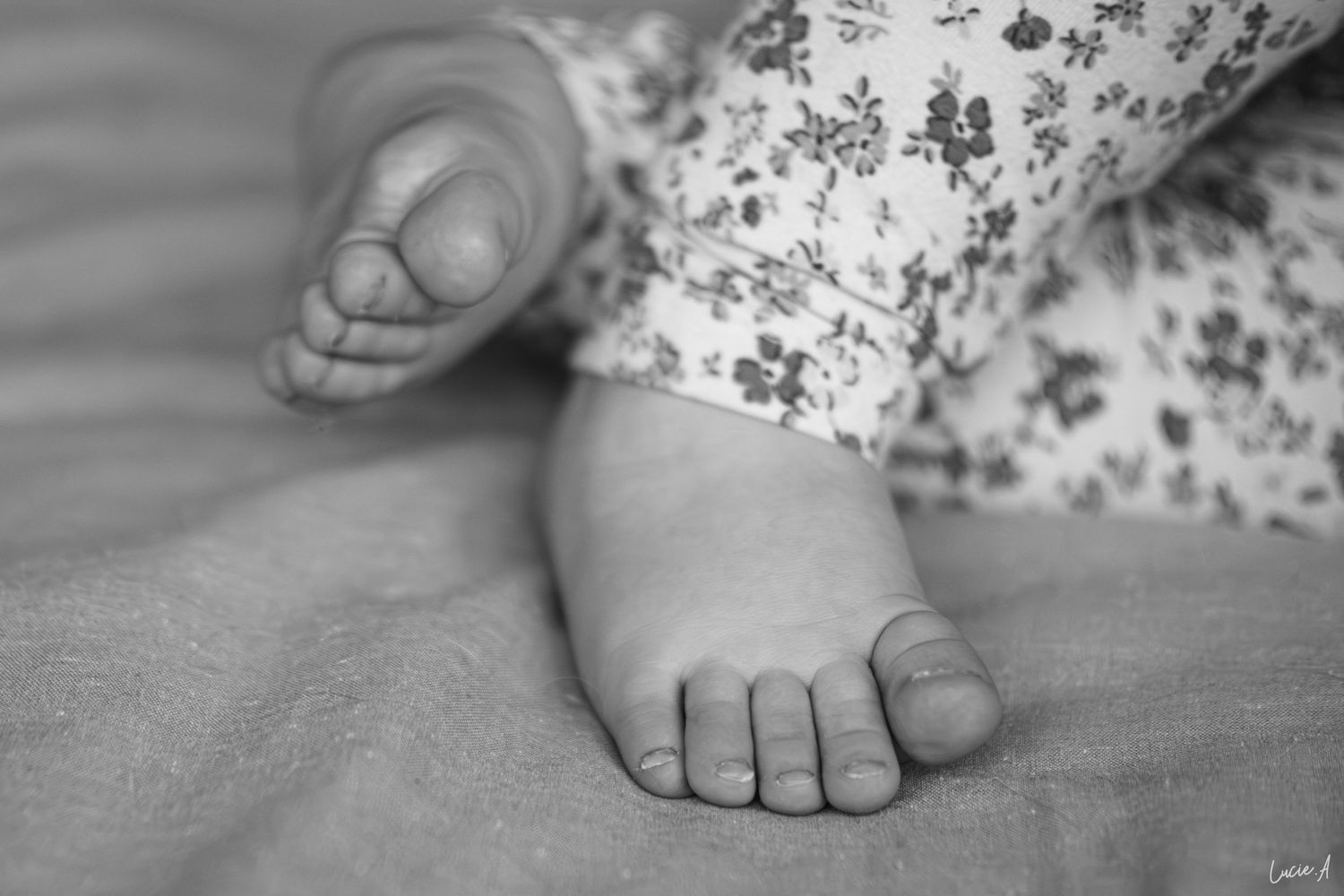Gros plan noir et blanc sur les pieds d'un bébé, séance naissance à Ronchin