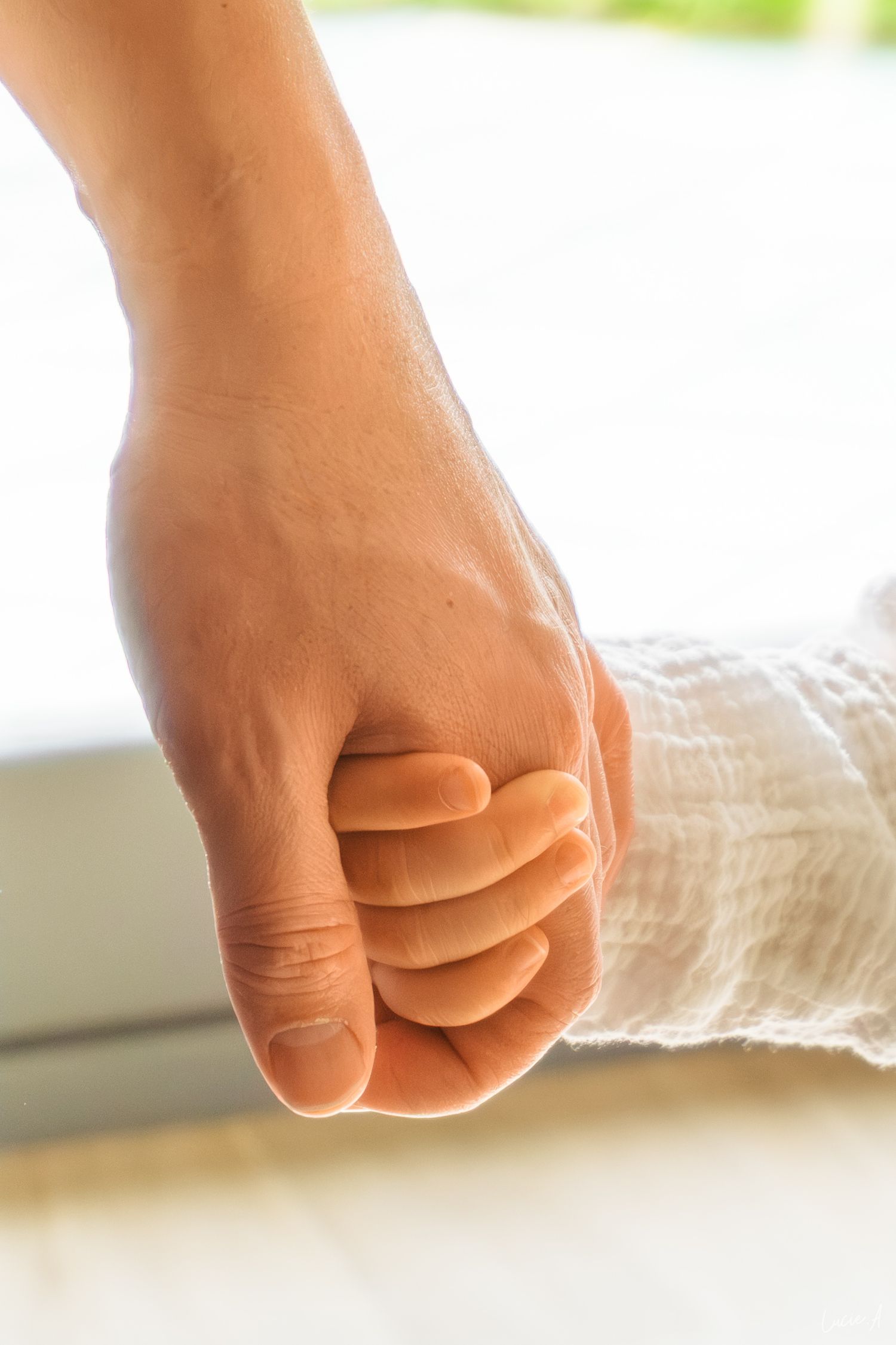 Gros plan d'un papa tenant la main de sa fille lors d'une séance famille