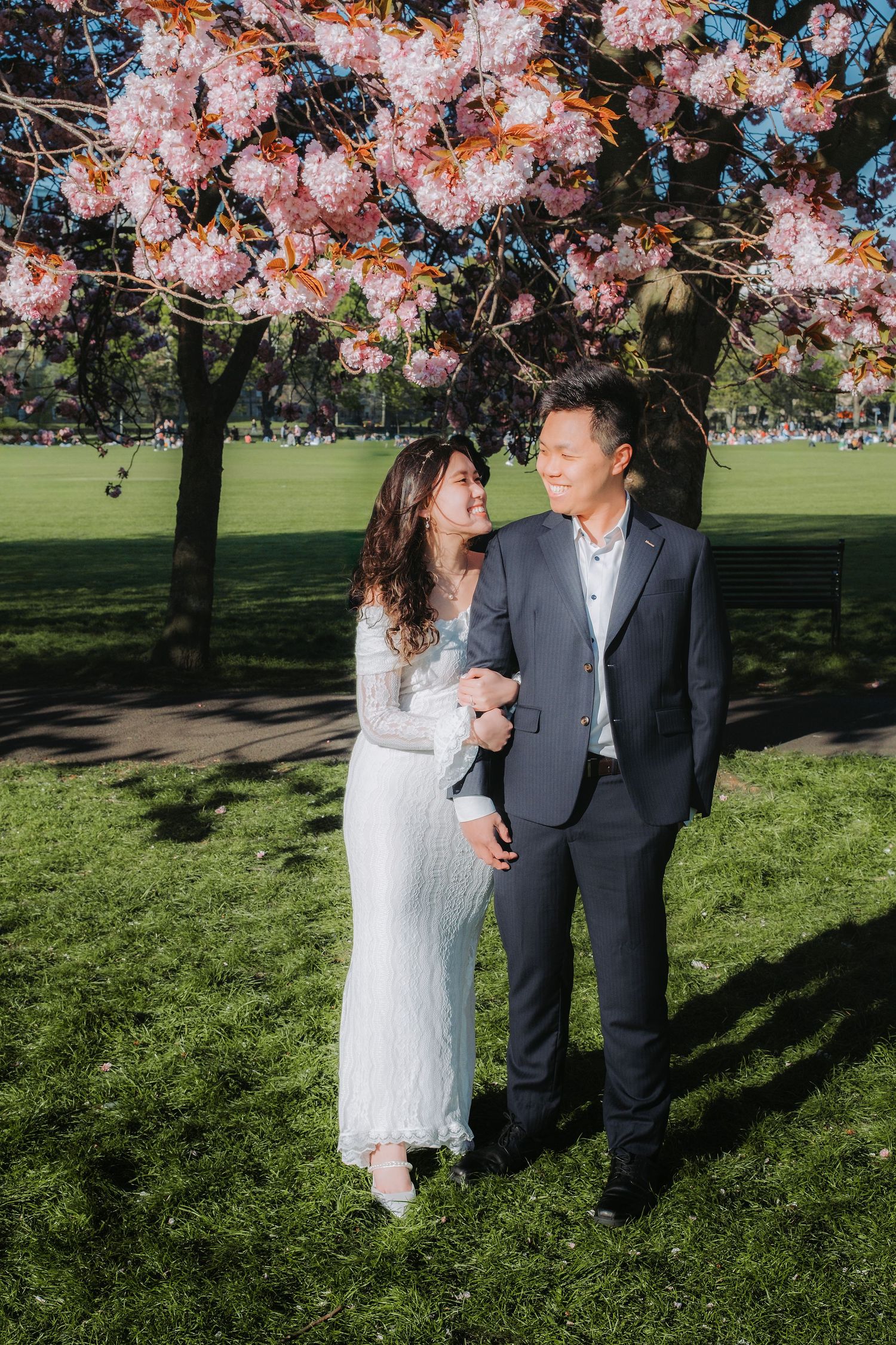Couple in wedding attire embracing under pink cherry blossom tree on sunny spring day in park.