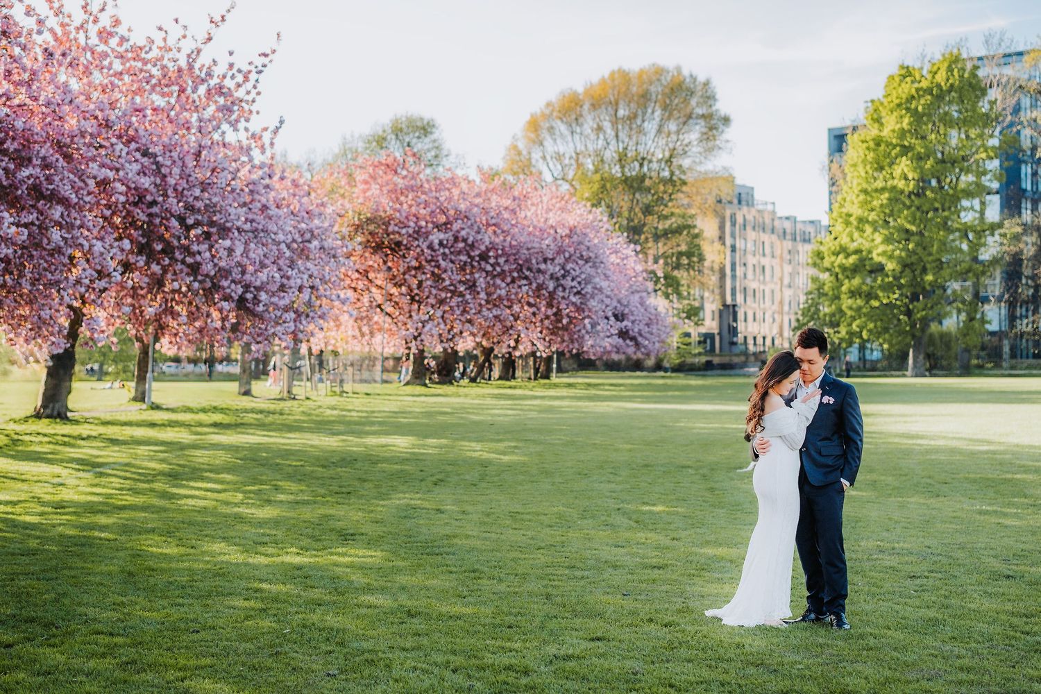 Bride and groom sharing intimate moment on green lawn surrounded by pink cherry blossom trees.