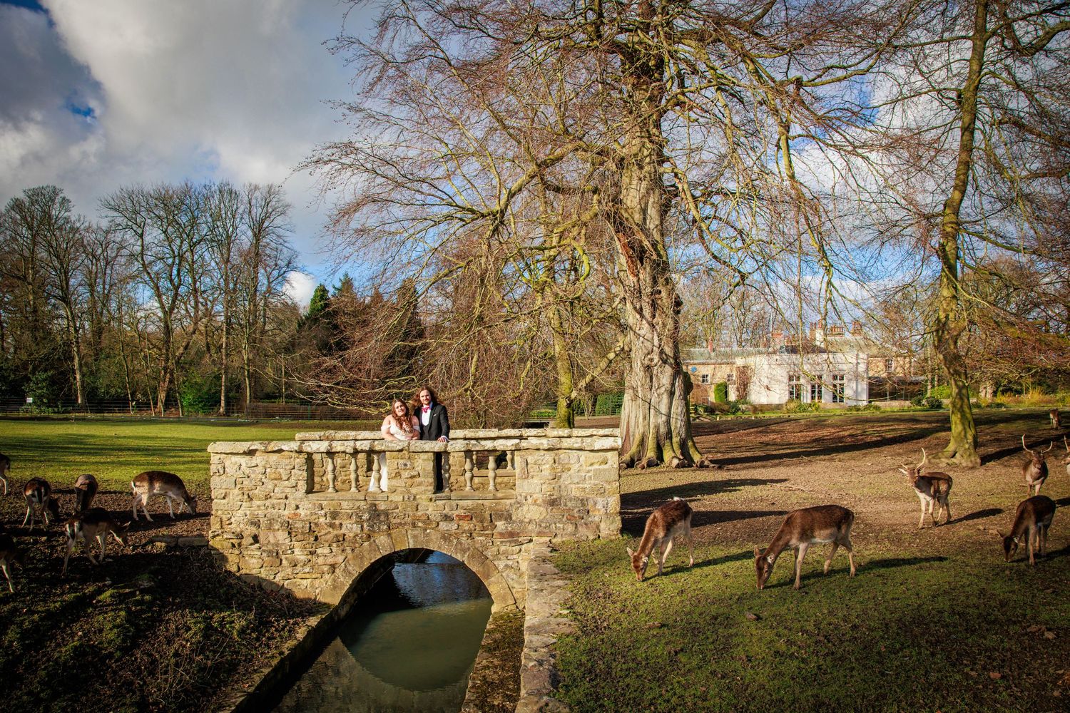 Couple stand on stone bridge at Whitworth Hall; deer roam nearby in scenic parkland setting.