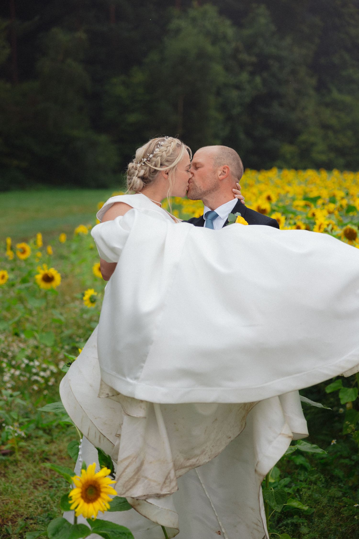 Wedding dress billows dramatically as couple shares romantic moment among blooming sunflowers.