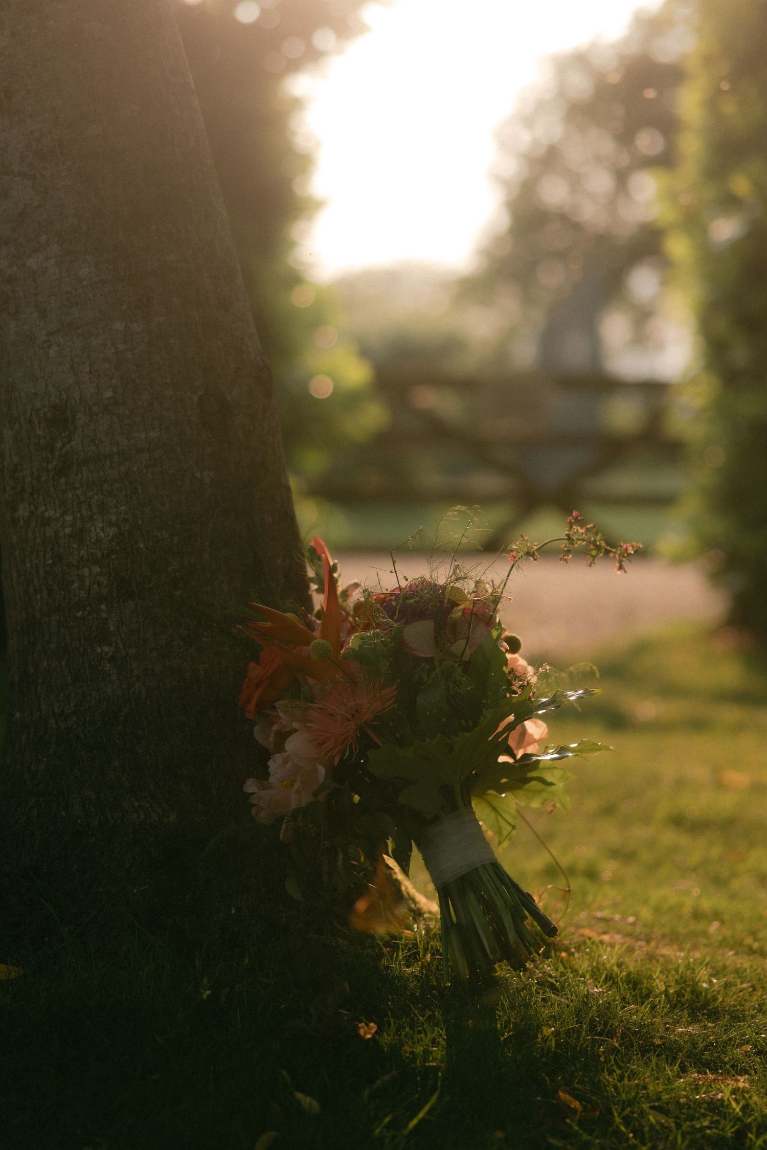 A wedding bouquet with orange flowers sits in grass during golden hour.