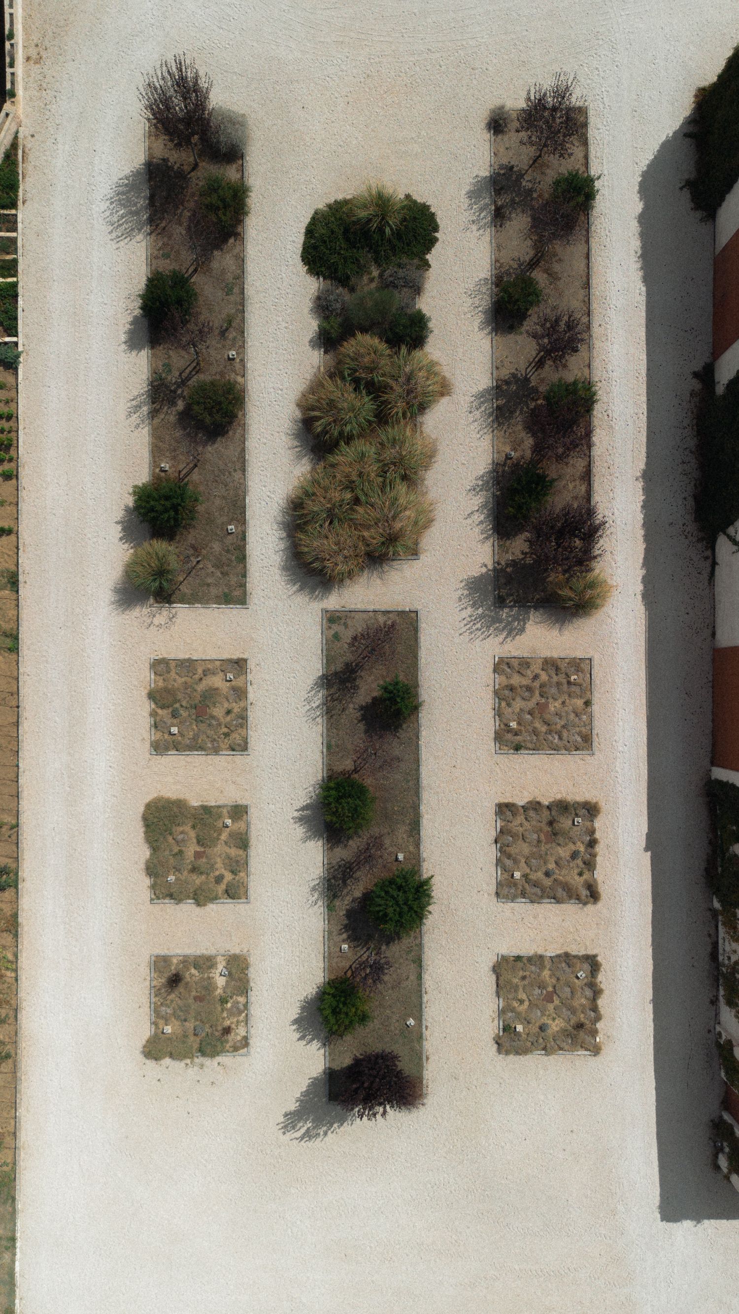 Aerial view of a geometric garden design with trees and stone patterns.