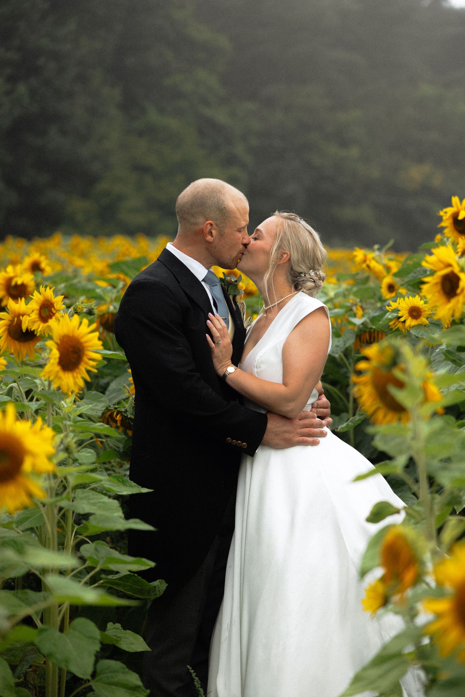 Wedding couple's romantic sequence captured against backdrop of blooming sunflowers.