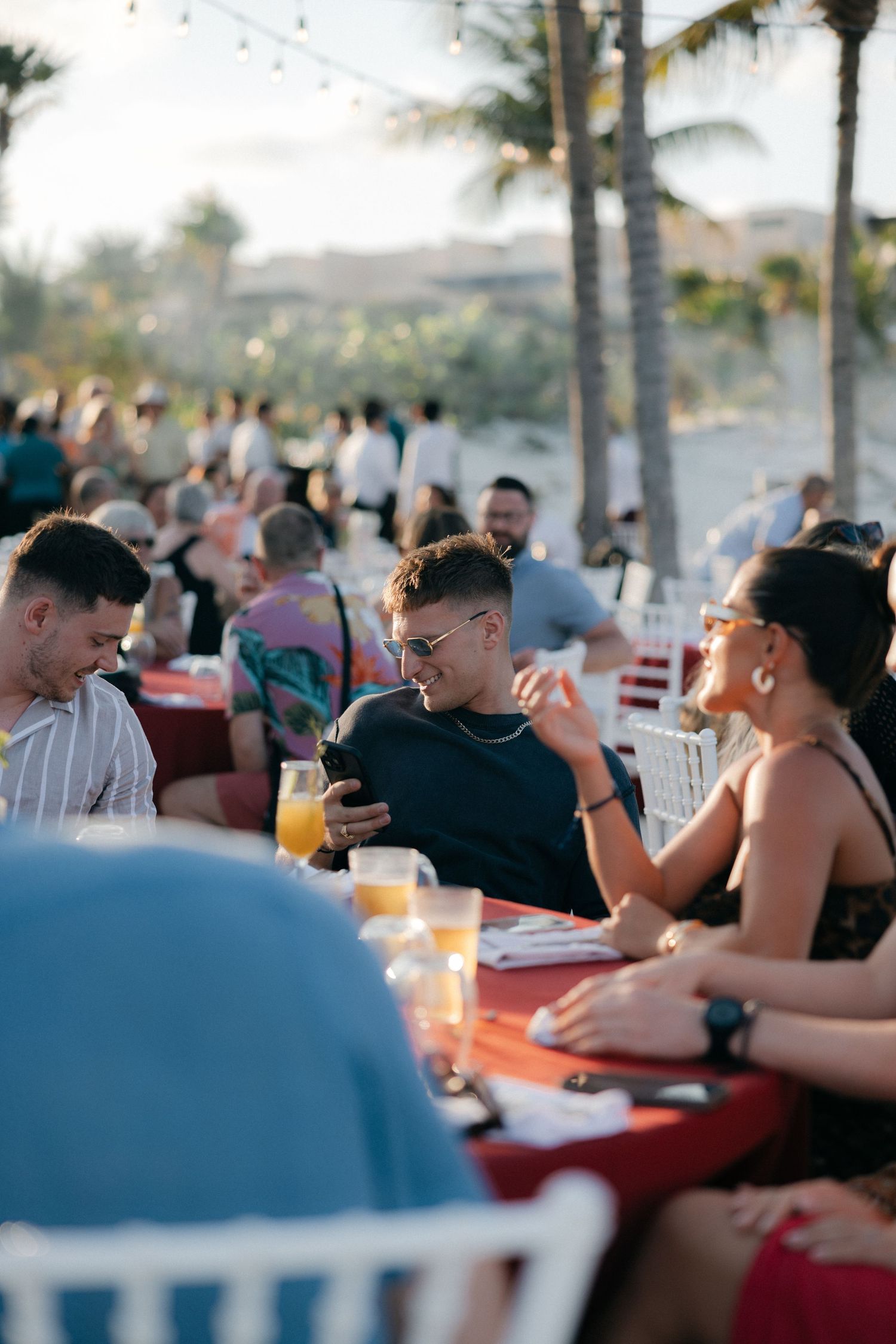 Guests socializing at outdoor dining event with palm trees in background.