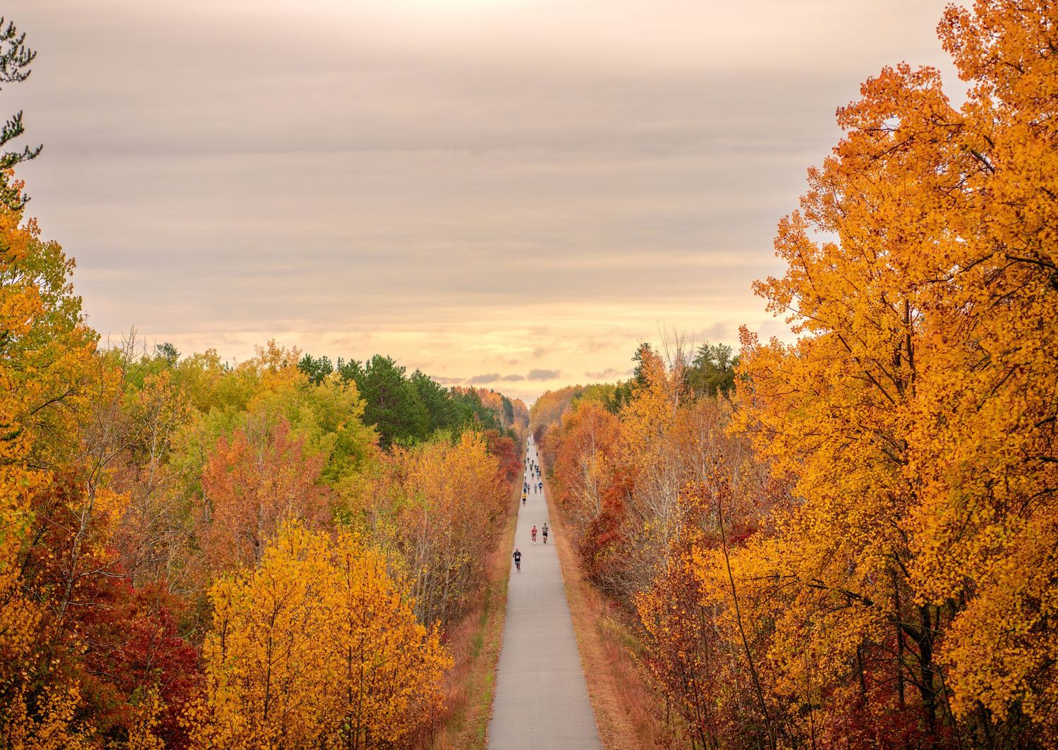 Scenic wooden path surrounded by golden autumn trees at sunset with marathon runners