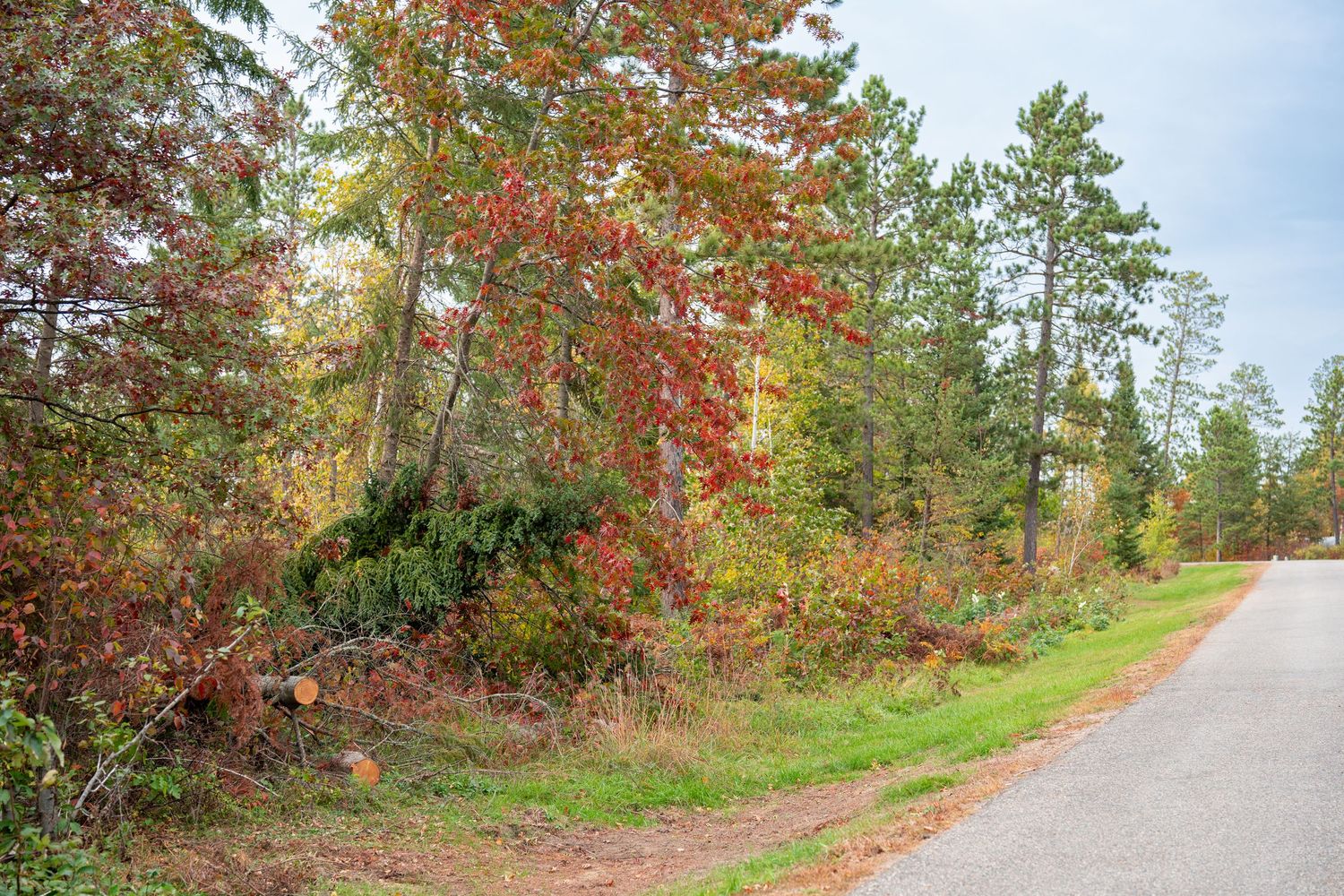 Scenic autumn road curves through colorful fall foliage and trees.