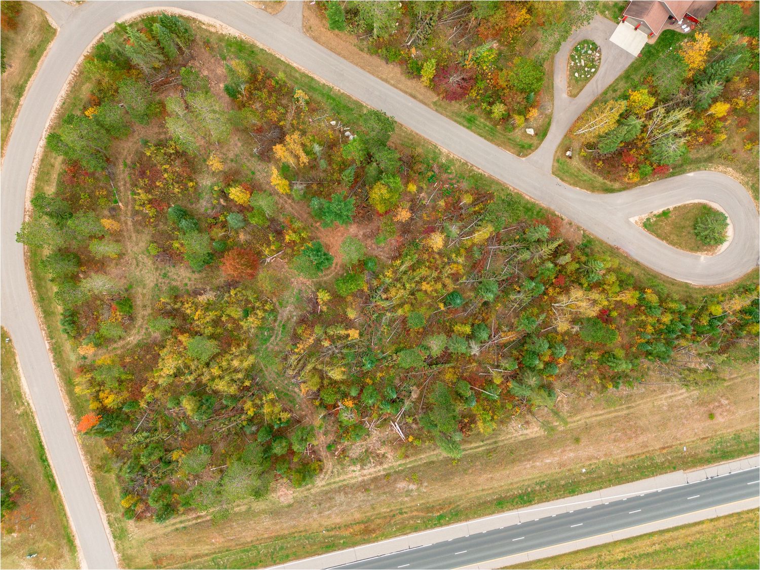 Aerial view of winding roads through autumn foliage and residential areas.