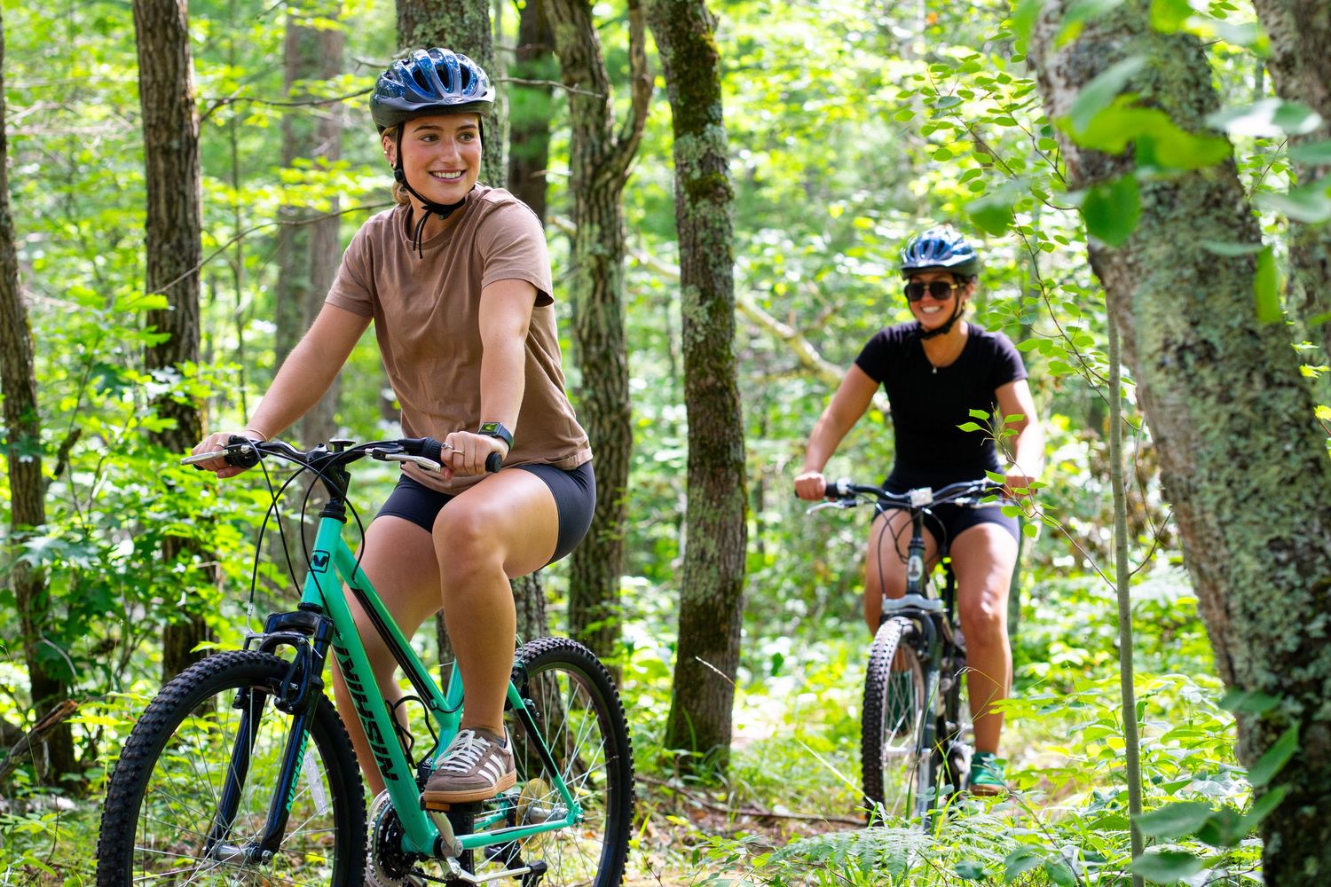 Group of cyclists navigating a wooded trail on mountain bikes.