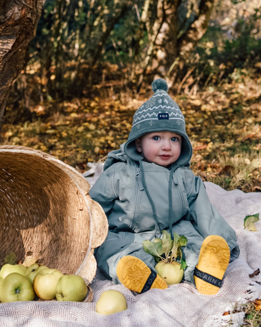 Baby sat on a blanket in woodland area next to a basket of green apples