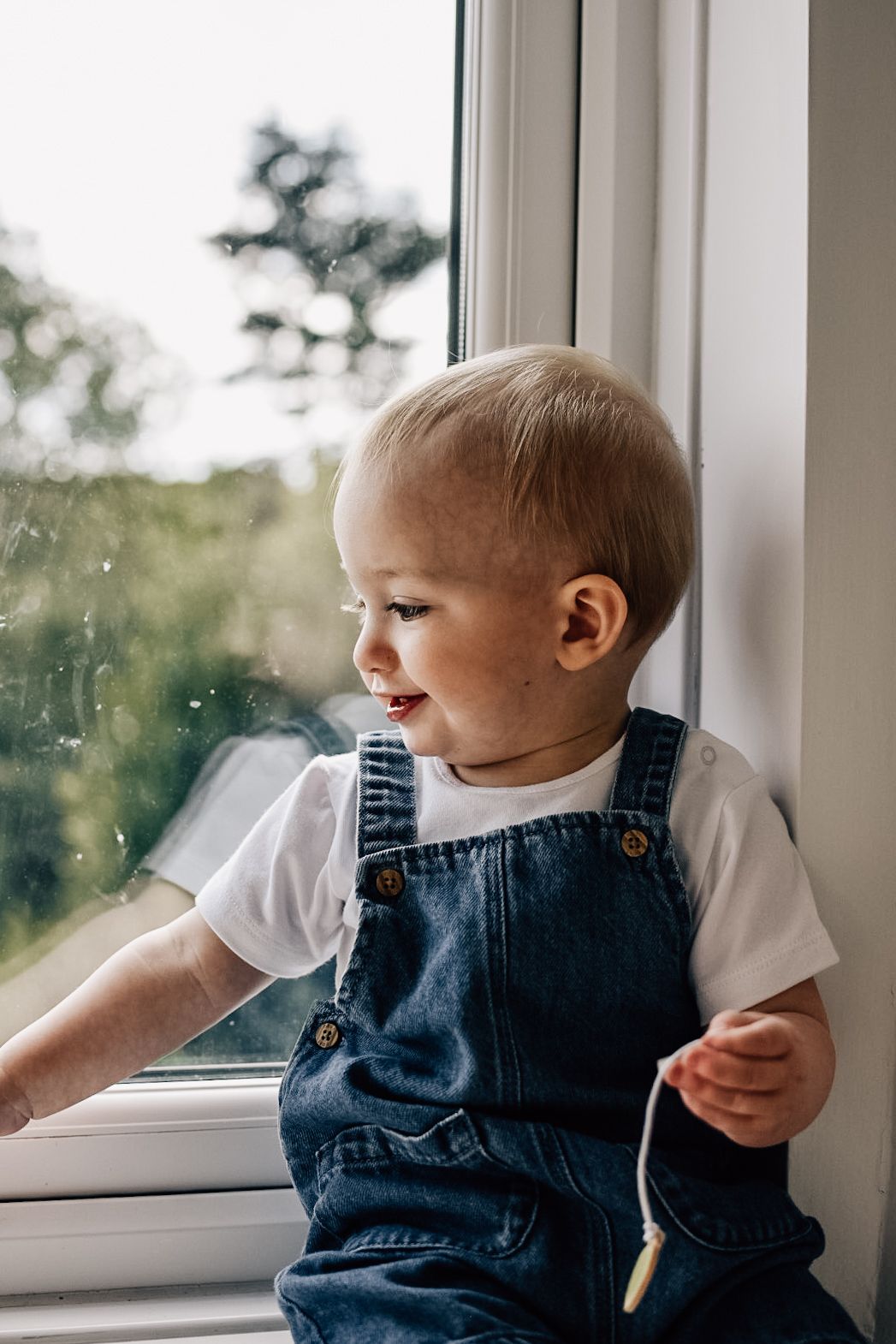 Baby wearing jean dungarees sat on a window sill looking out of the window