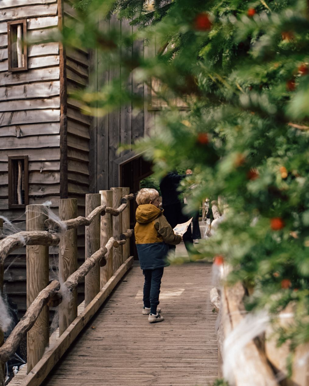 Boy walking through a woodland adventure park at Raby Castle