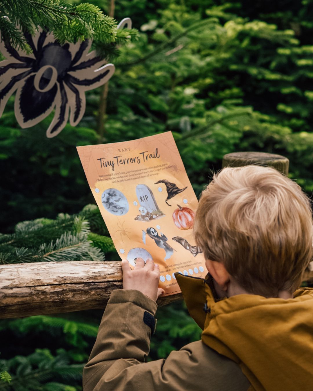 Boy filling out an activity sheet from the The Plotters' Forest at Raby Castle in front of a giant spider display in the trees.