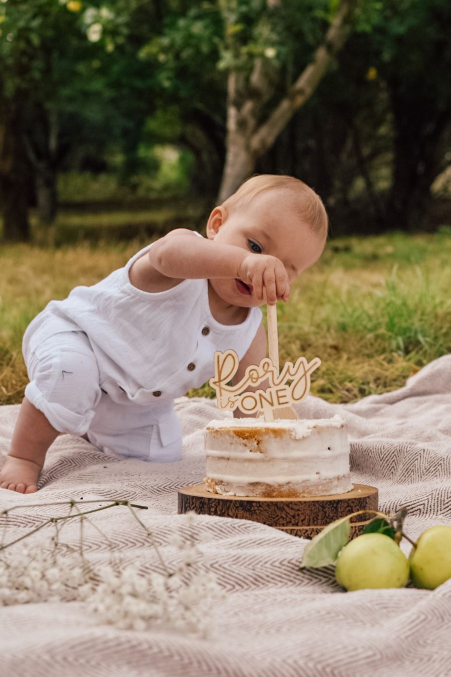 Baby pulling cake topper out of a cake whilst sat in a woodland area on a blanket with apples in the foreground