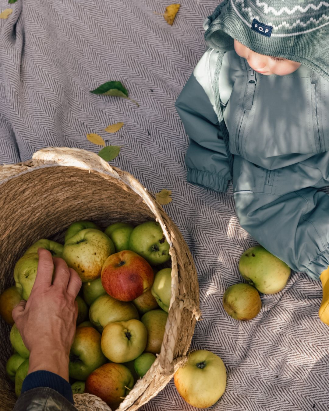 Baby sat on a blanket next to a basket full of green apples with an adult hand placing an apple in the basket.