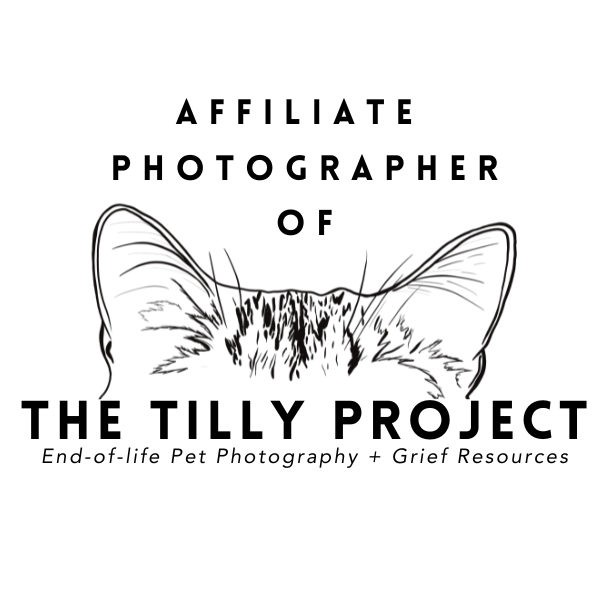A logo design featuring text and illustrations of cat ears for The Tilly Project, offering end-of-life pet photography services.