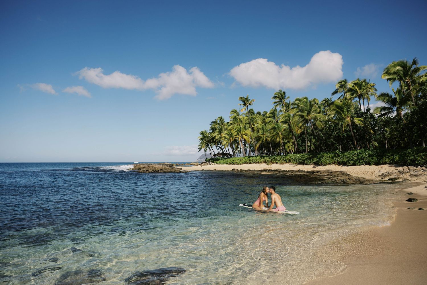Panoramic view of a tropical beach paradise with palm trees and crystal clear waters.