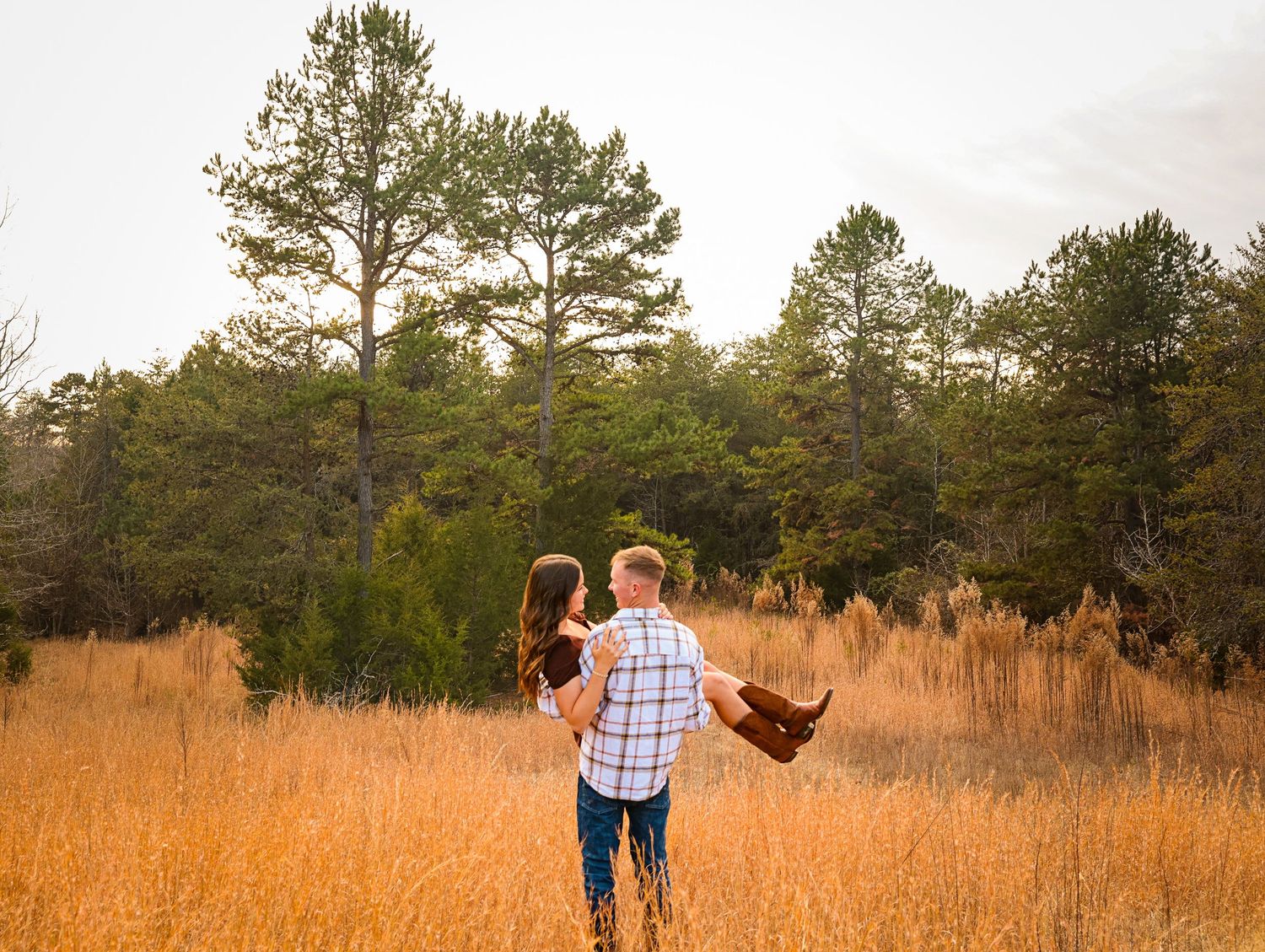 A couple walks through a golden field at sunset with pine trees in the background.