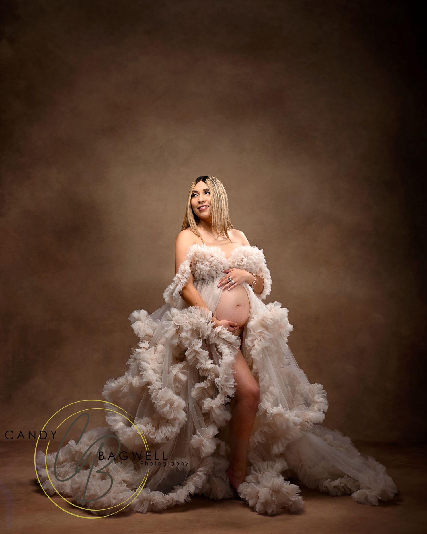 Luxury maternity by Candy Bagwell Photography, professional photographer serving Fletcher, Hendersonville, Asheville, and Western NC.
