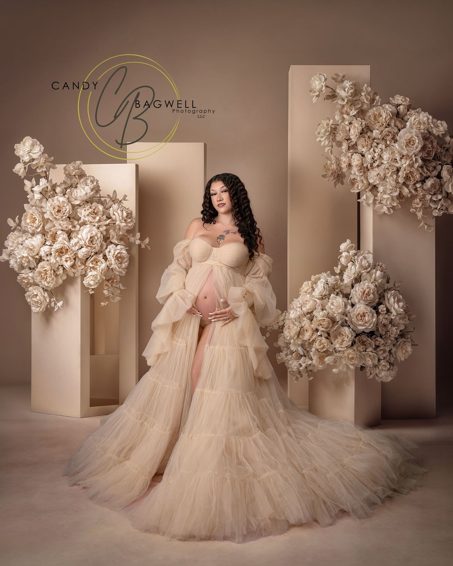 Luxury digital composite maternity portrait featuring an expecting mother in an elegant gown by Candy Bagwell Photography in Fletcher, NC.